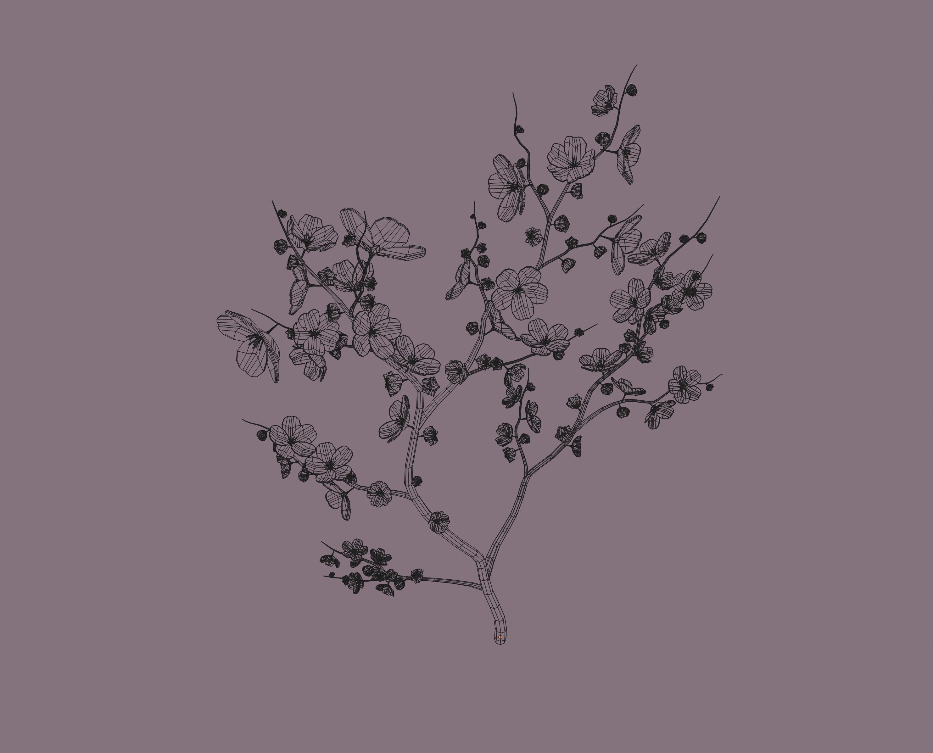 Cherry Blossom 3D model_11