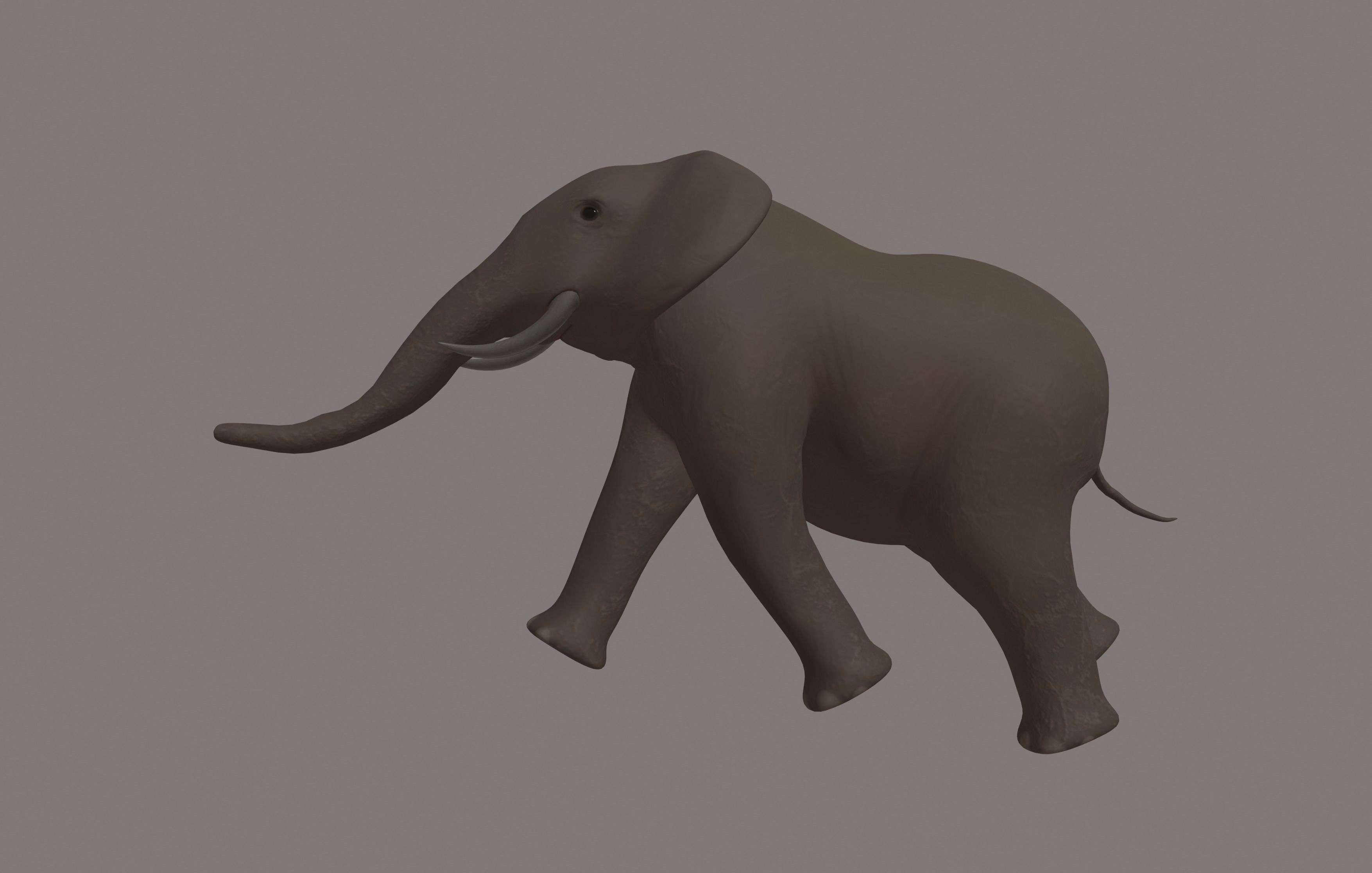 Elephant 3D model_9