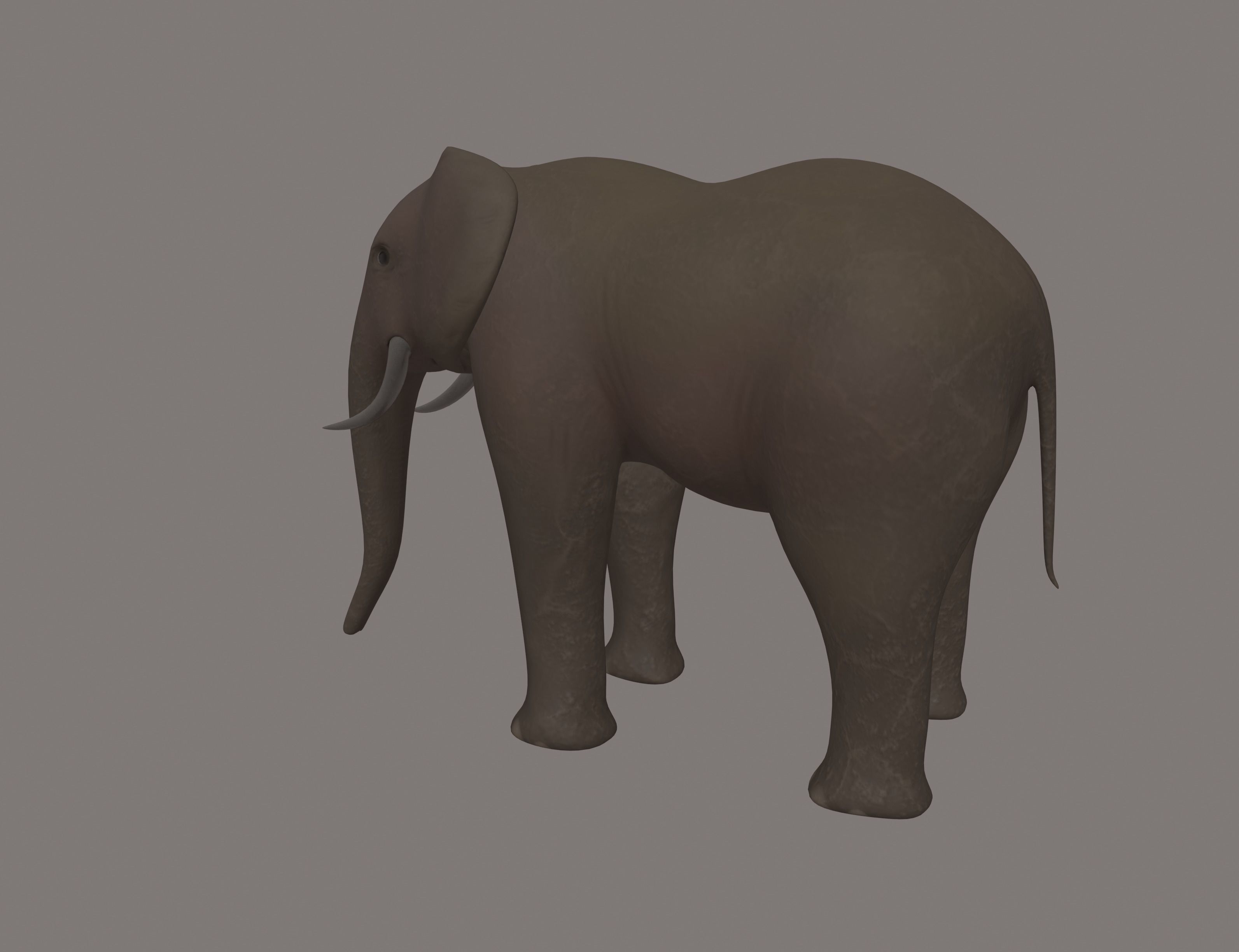 Elephant 3D model_1