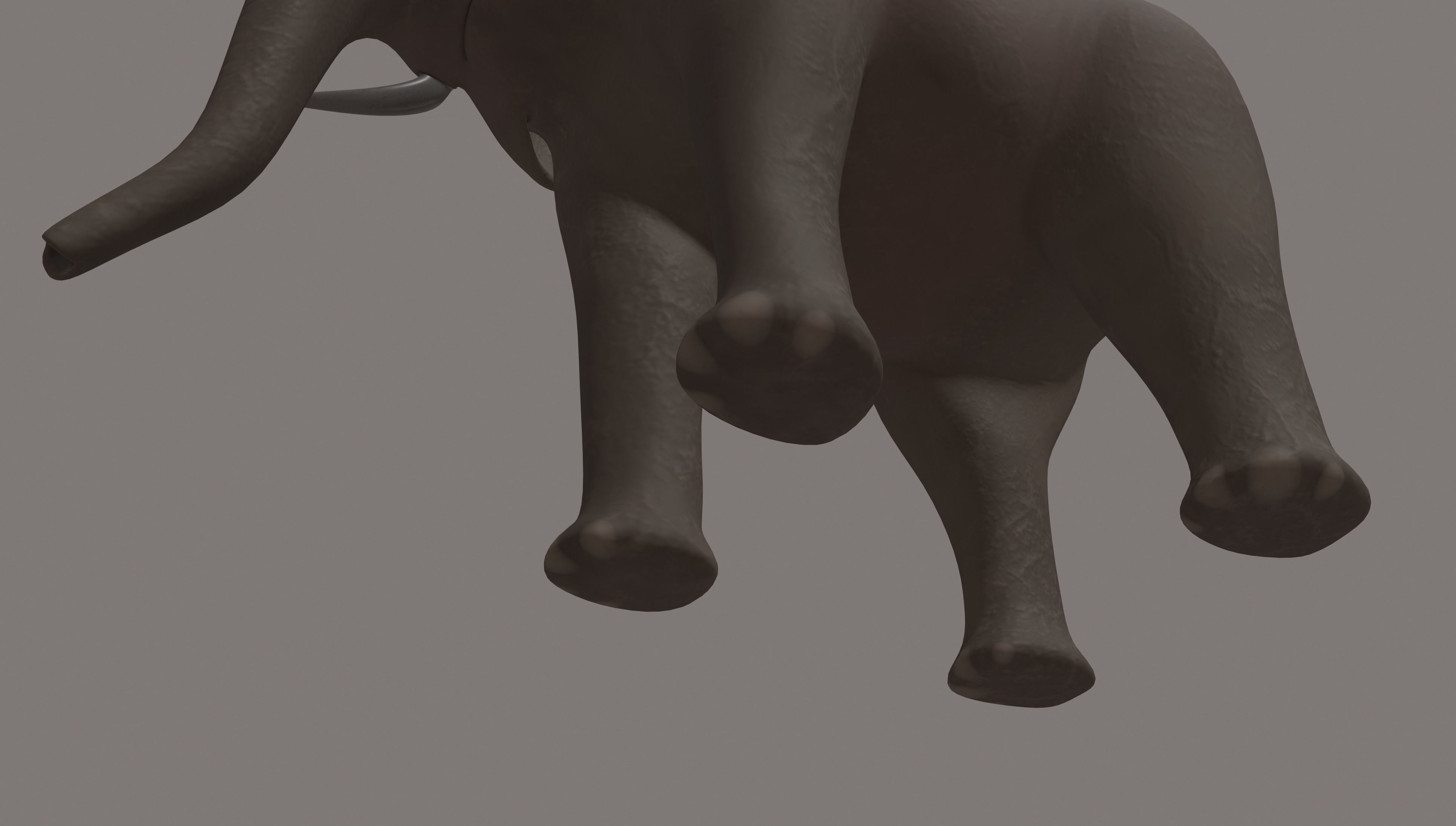 Elephant 3D model_5