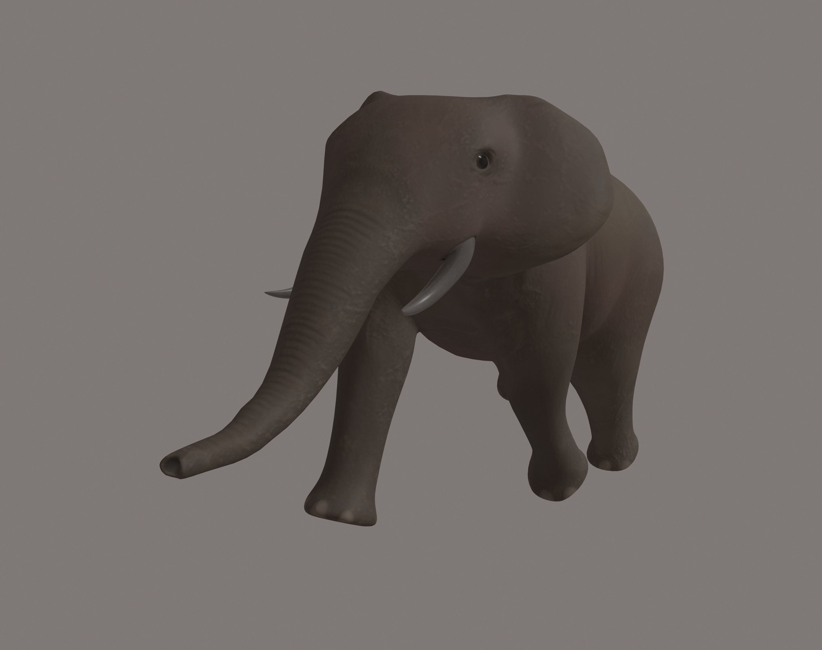 Elephant 3D model_10