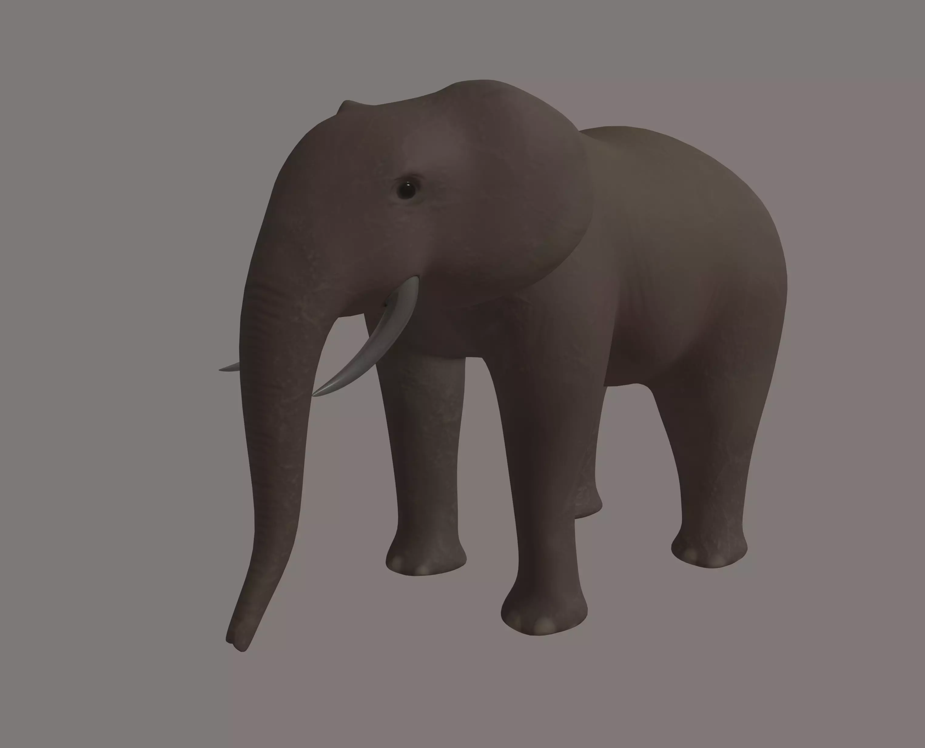 Elephant 3D model_0