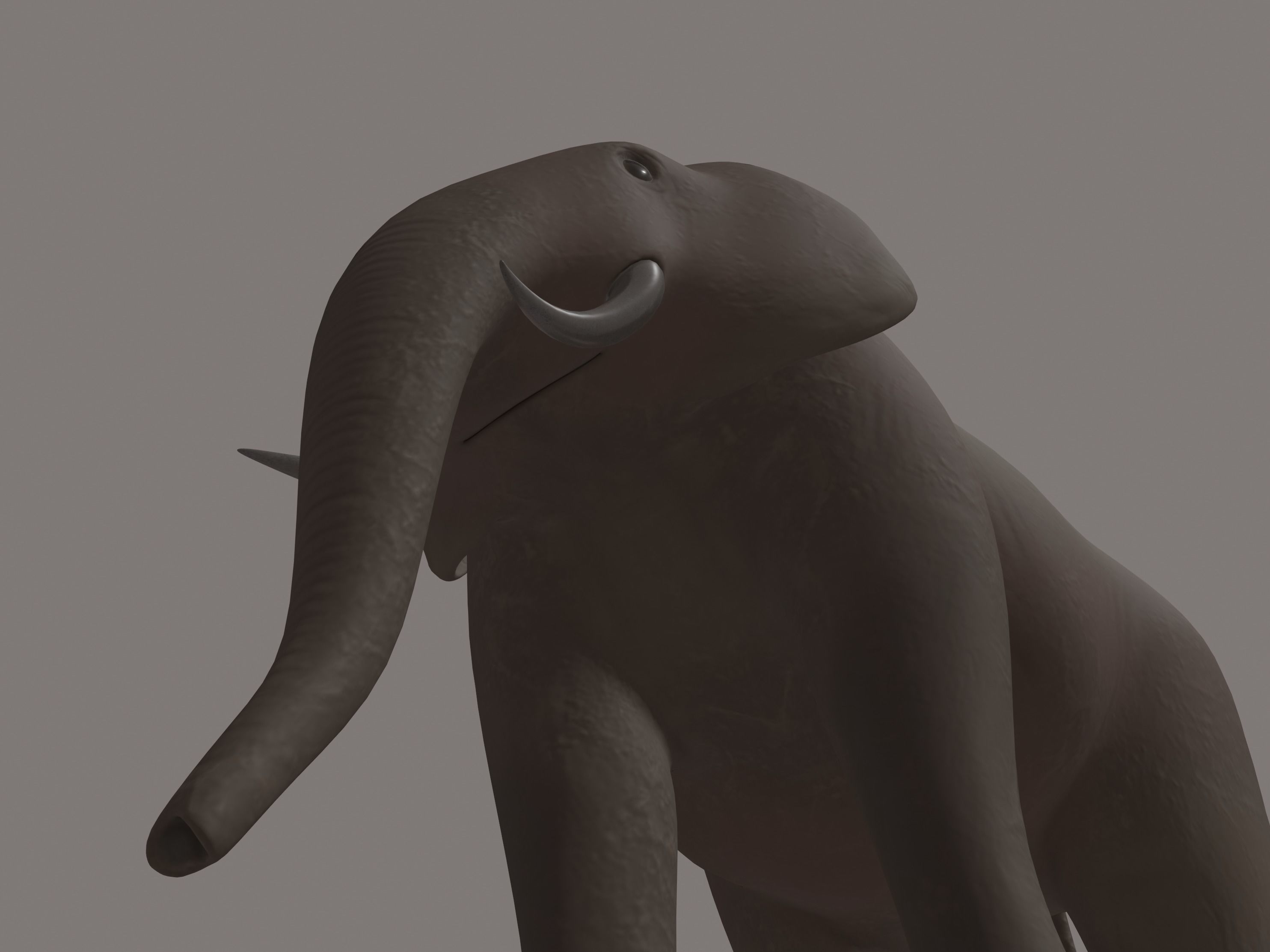 Elephant 3D model_8