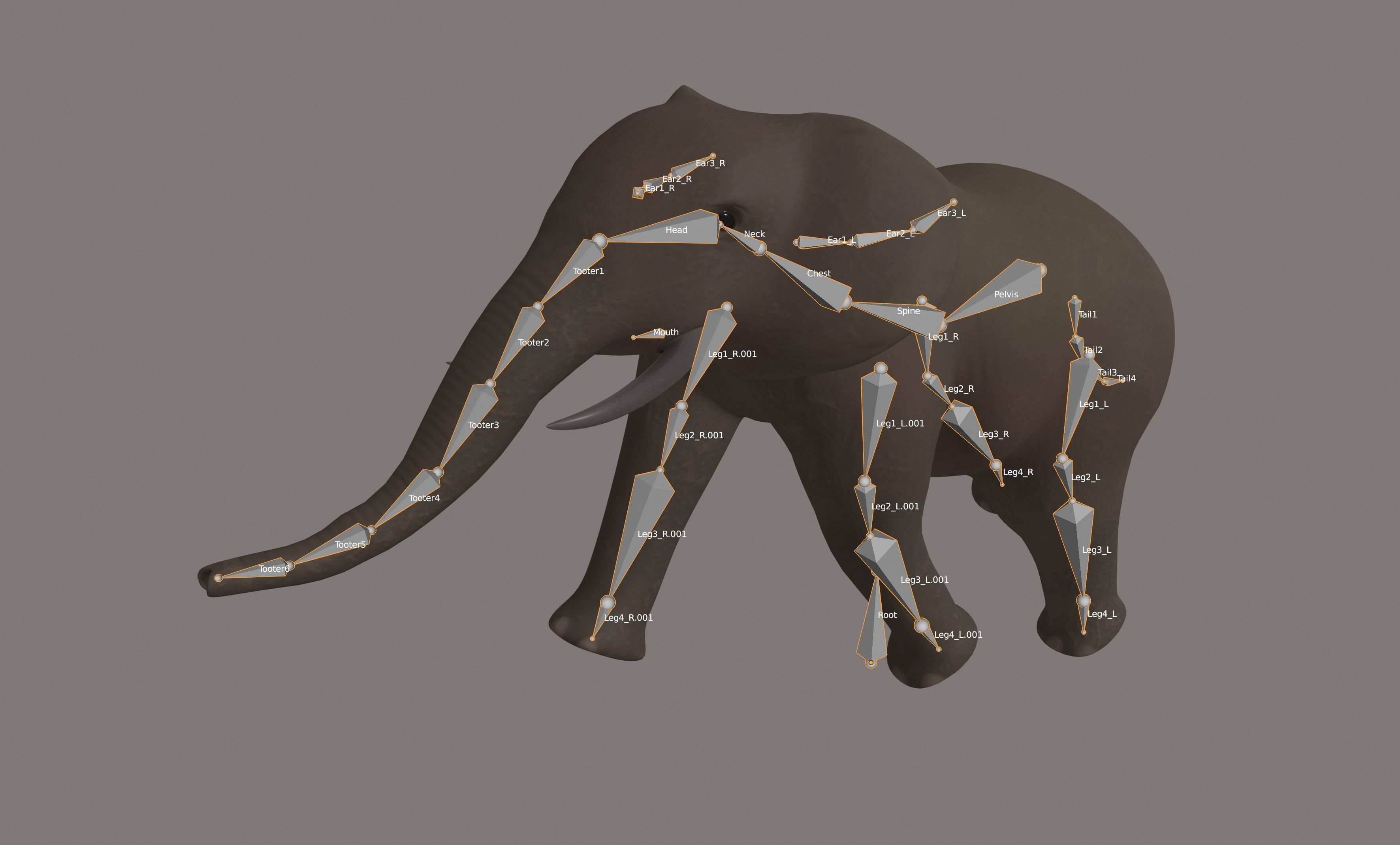 Elephant 3D model_11
