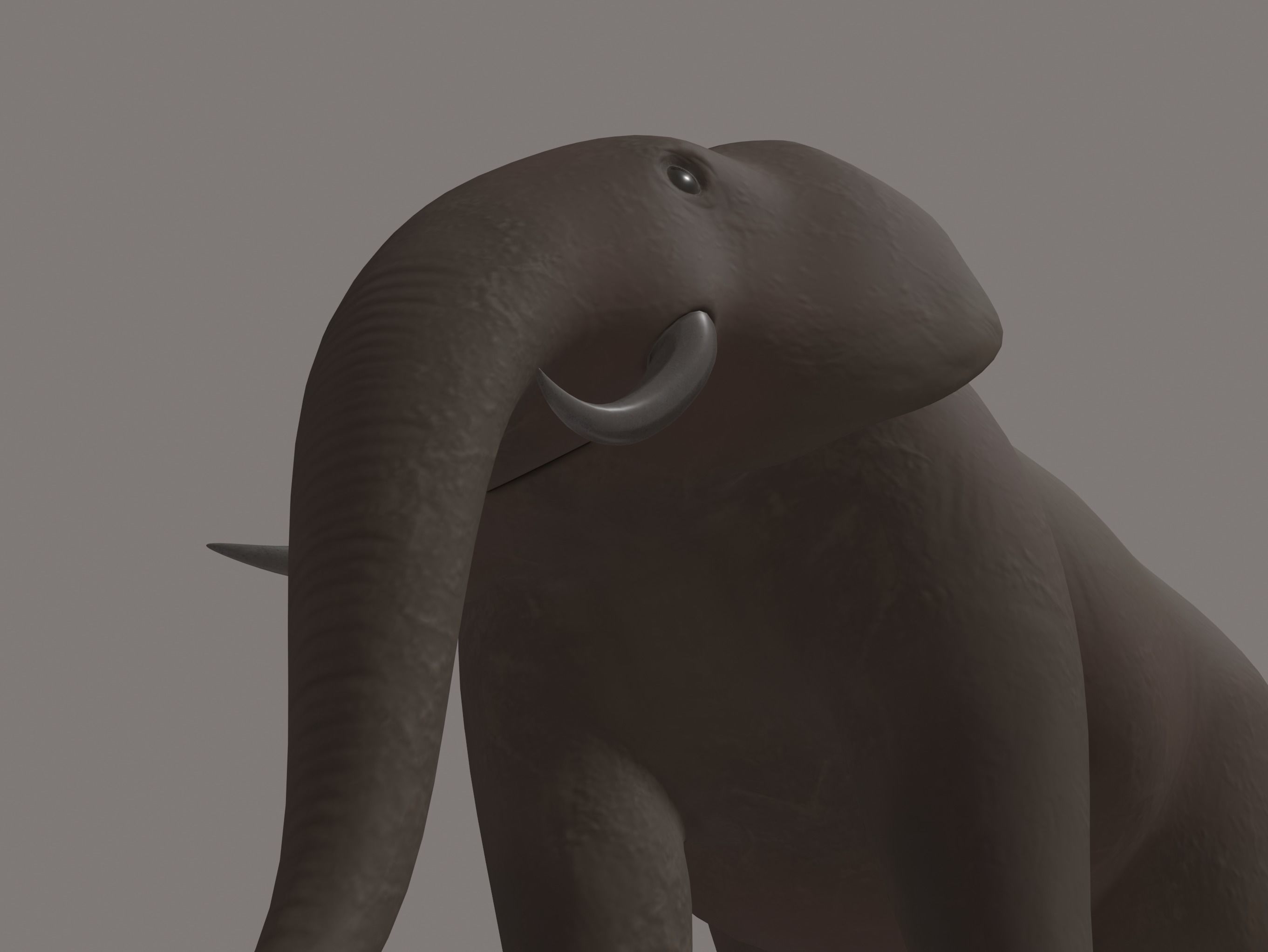 Elephant 3D model_6