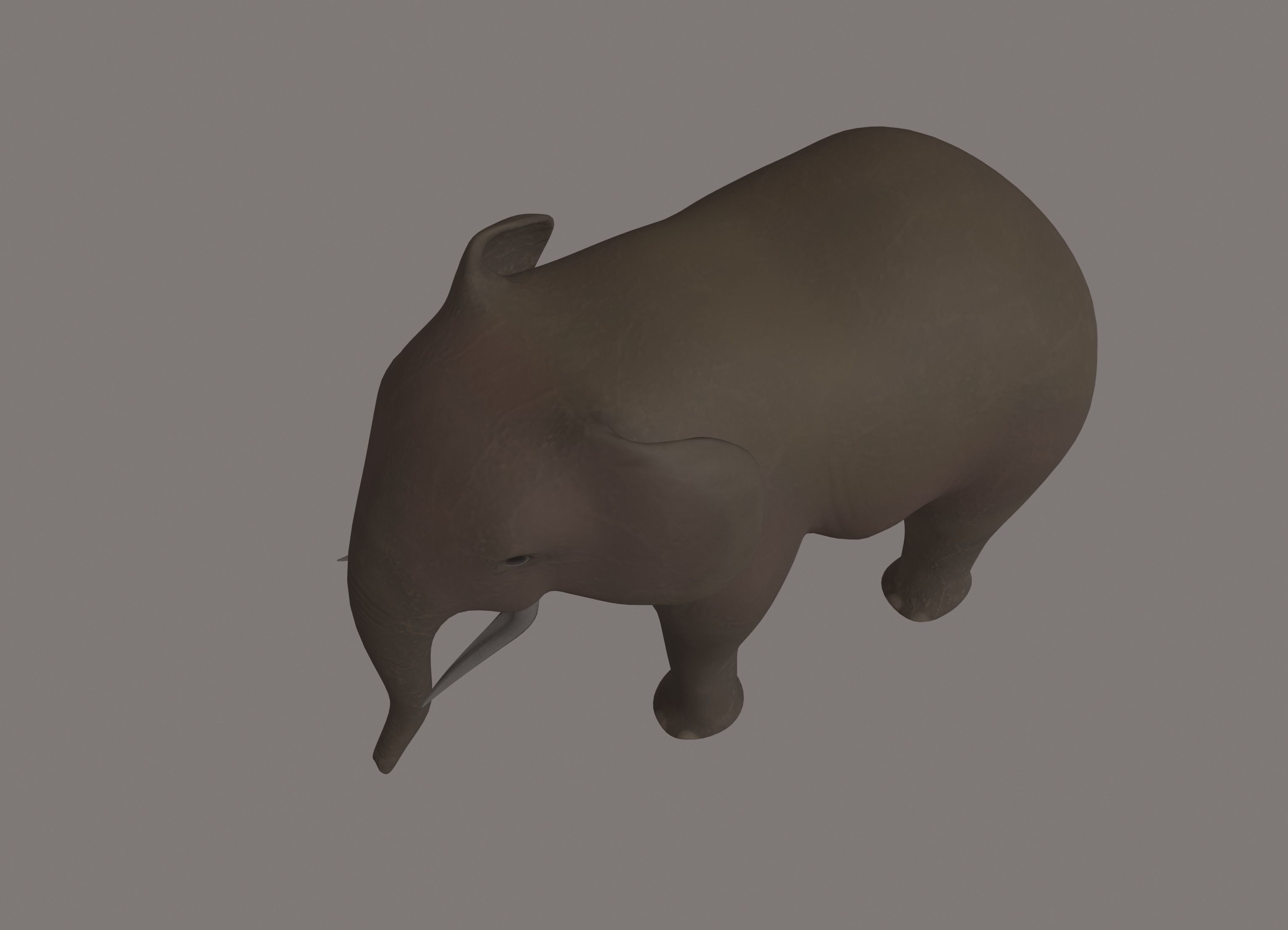 Elephant 3D model_3