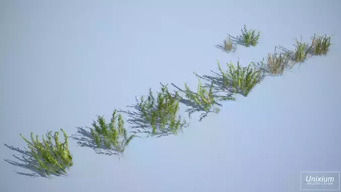 Vegetation Pack 03 Low-poly 3D model