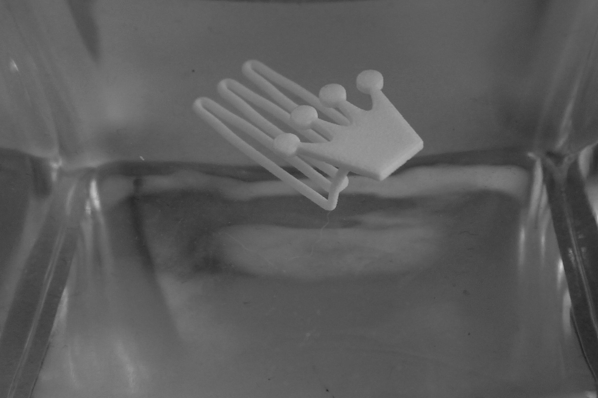 Crown for beard - lateral wearing 3D print model_4