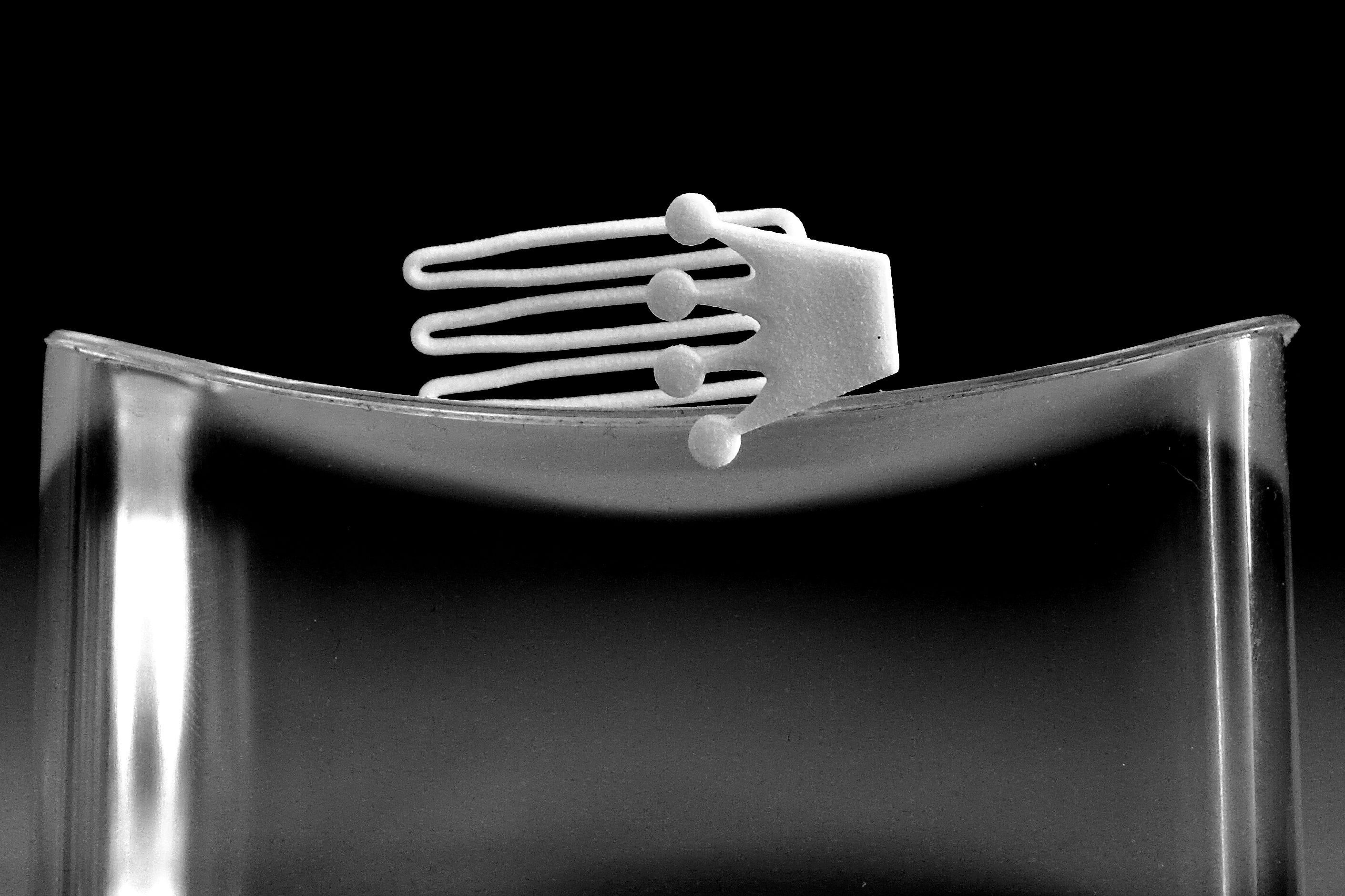 Crown for beard - lateral wearing 3D print model_2