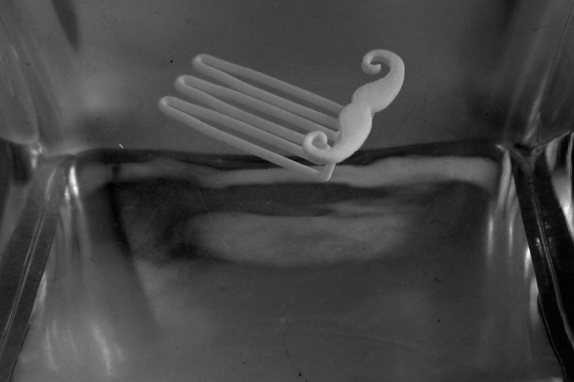 Mustache for beard - lateral wearing 3D print model_4