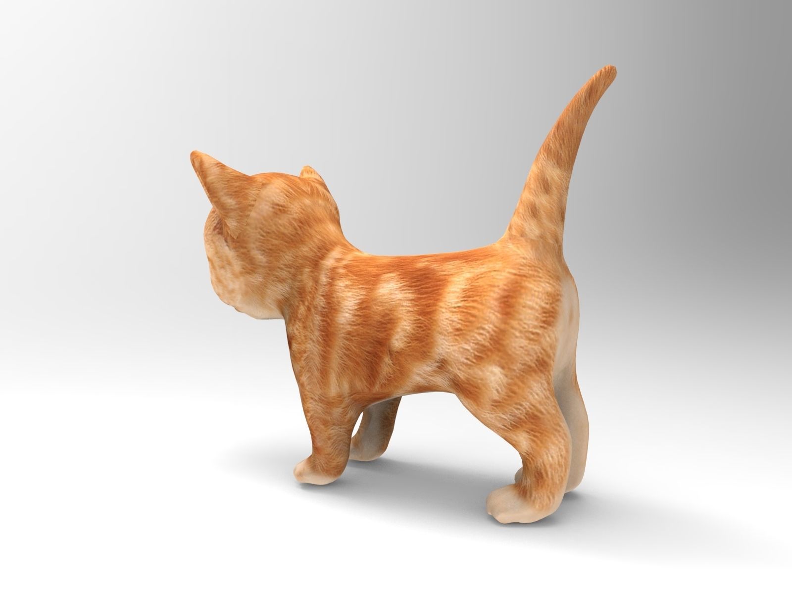 Red Cute cartoon Cat Rigged Low-poly 3D model_5