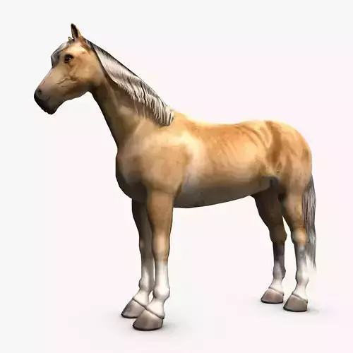 Palomino Horse Low-poly 3D model