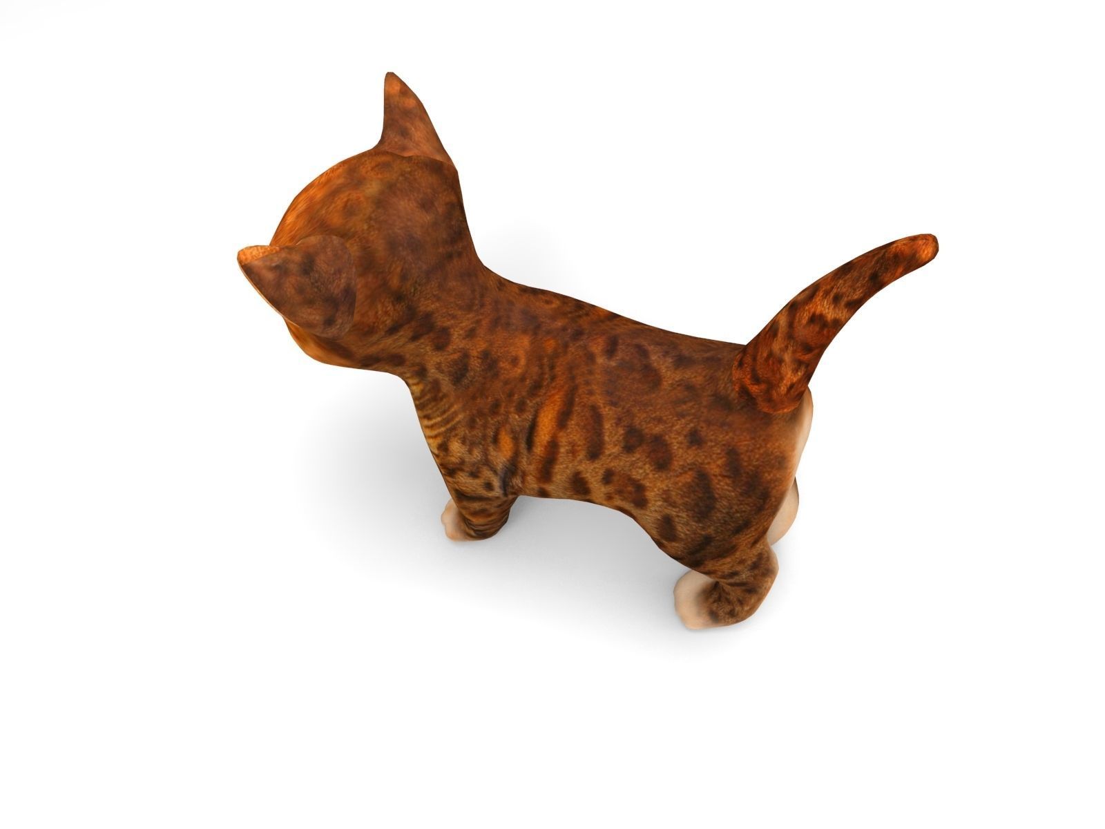 Cute cartoon Cat Rigged Low-poly 3D model_8