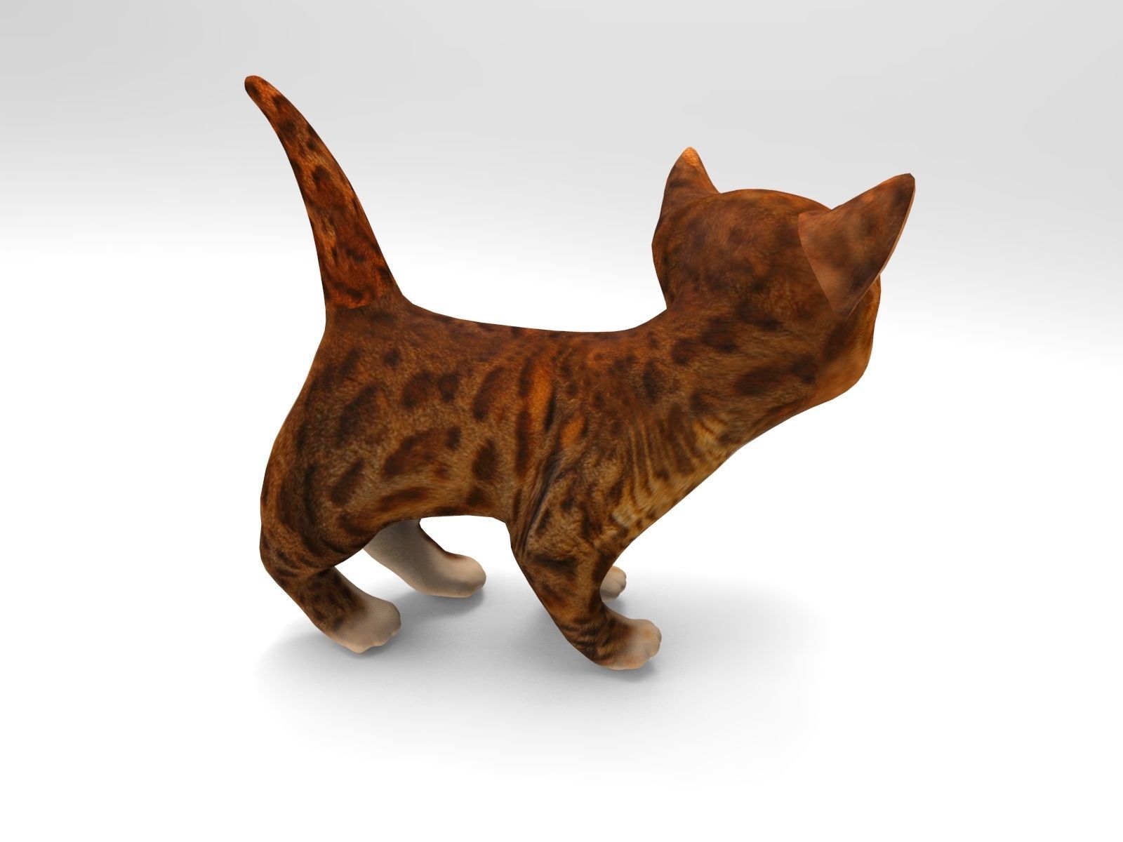 Cute cartoon Cat Rigged Low-poly 3D model_4