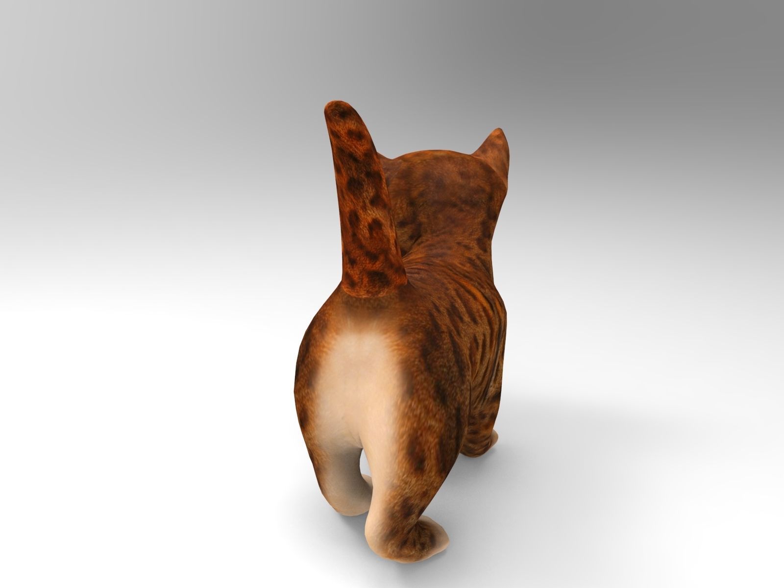 Cute cartoon Cat Rigged Low-poly 3D model_3