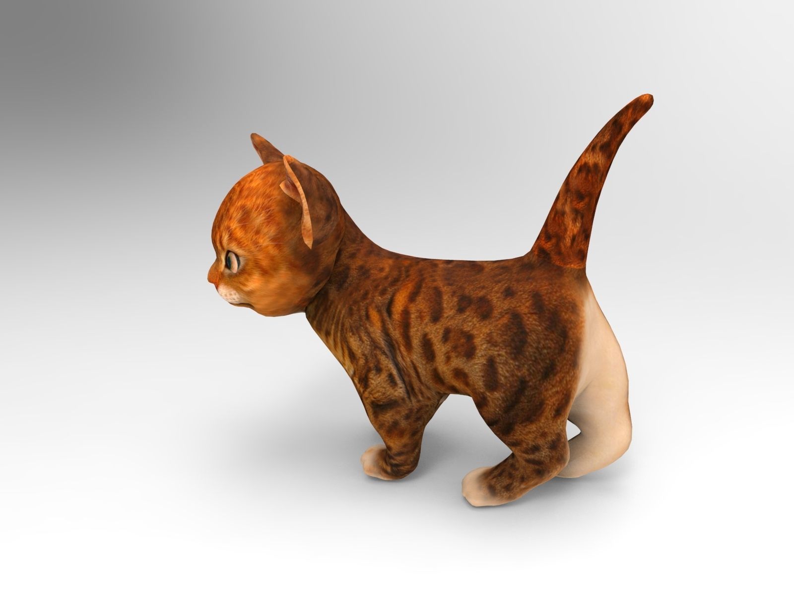 Cute cartoon Cat Rigged Low-poly 3D model_2