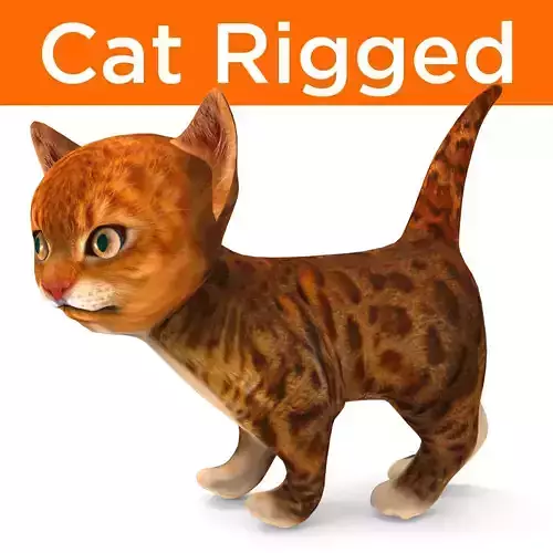 Cute cartoon Cat Rigged