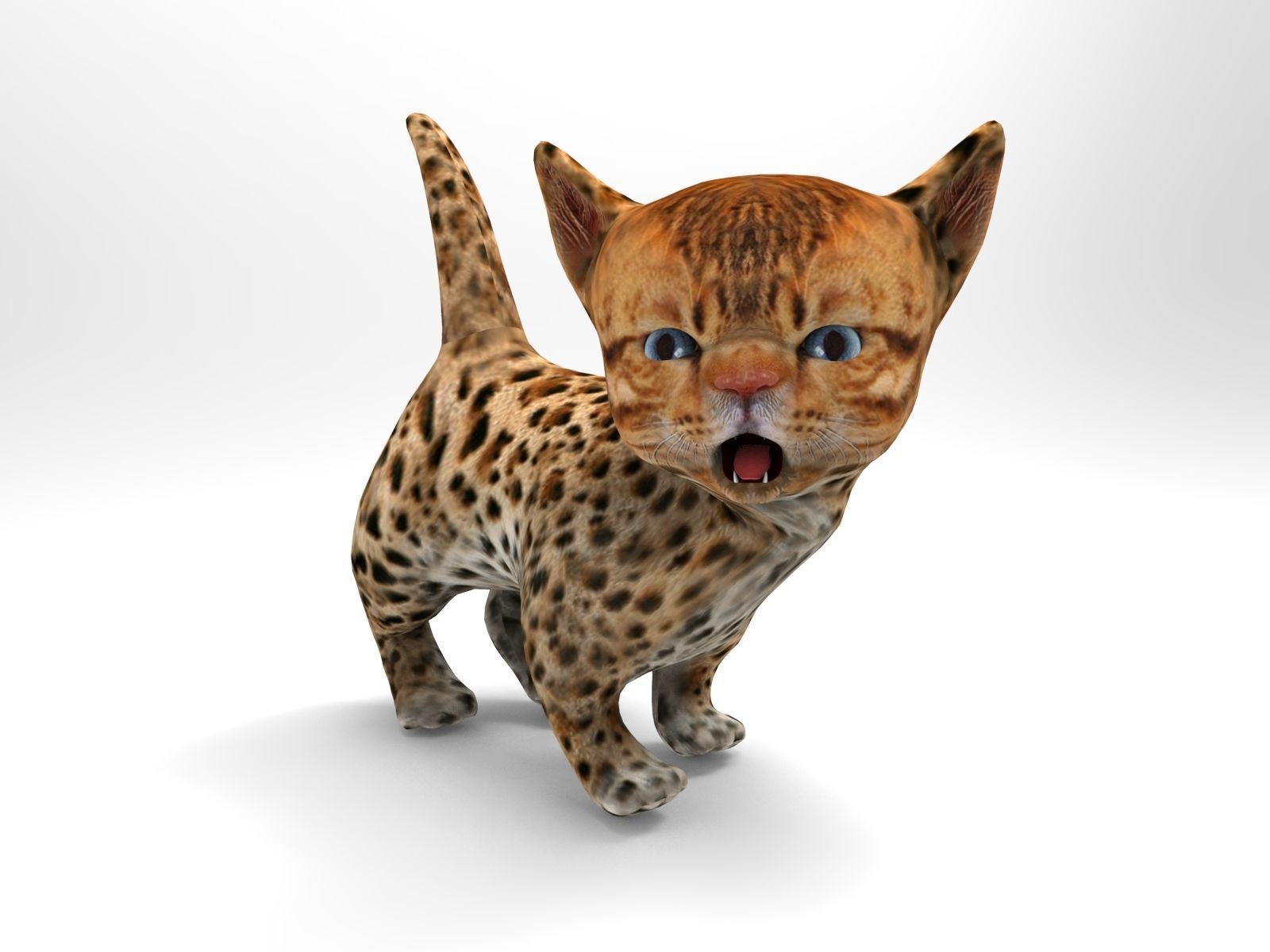3D Wild Cute cartoon Cat Rigged Low-poly 3D model_6