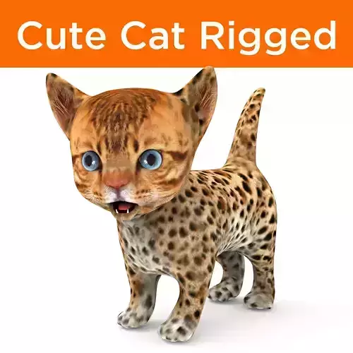 3D Wild Cute cartoon Cat Rigged