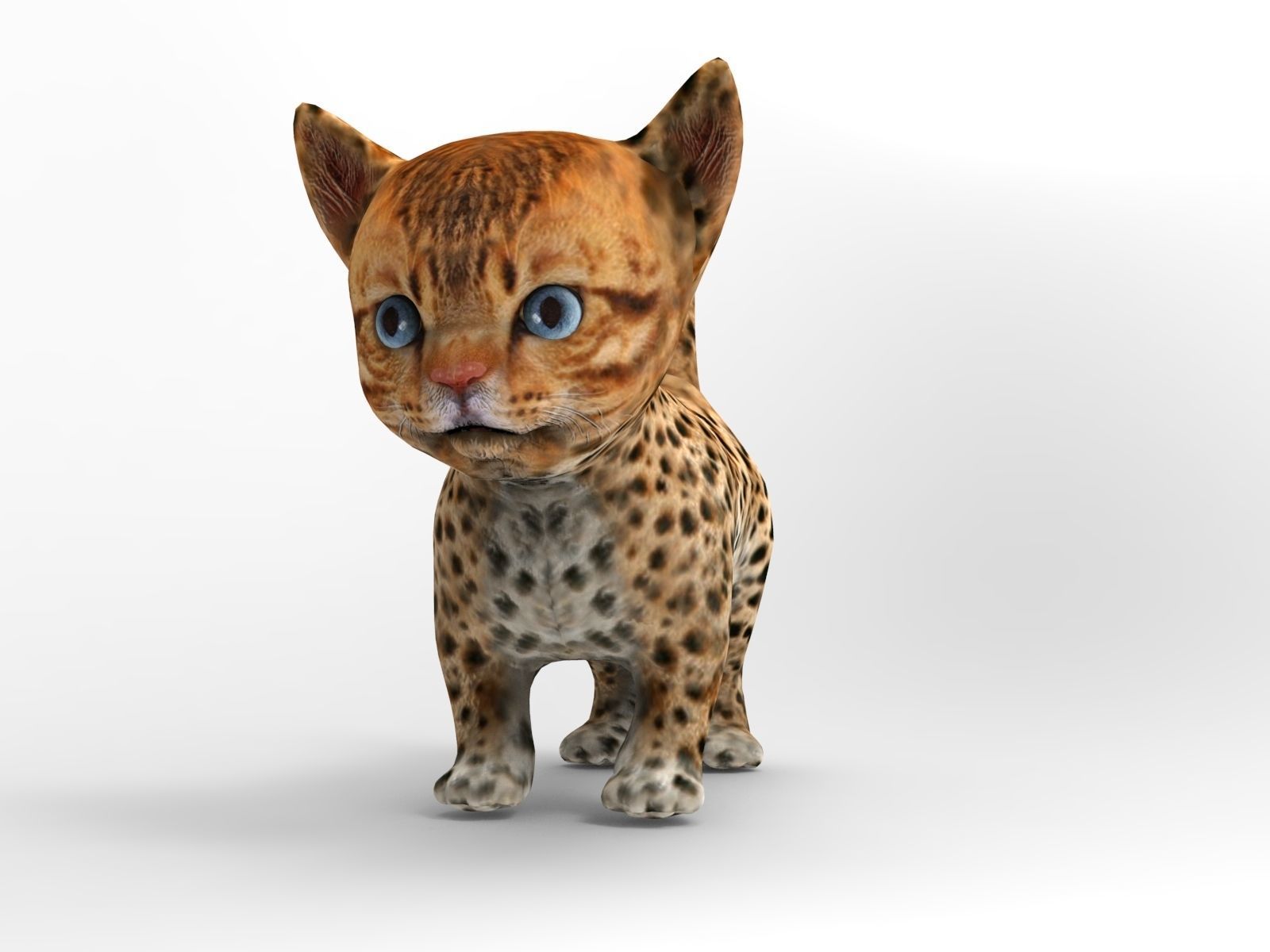 3D Wild Cute cartoon Cat Rigged Low-poly 3D model_5