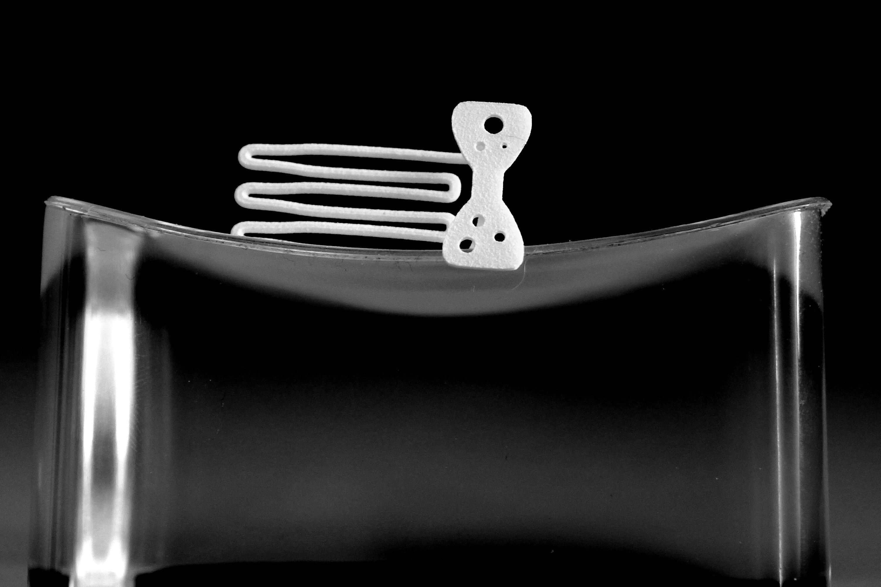 Papillon for beard - lateral wearing  3D print model_2