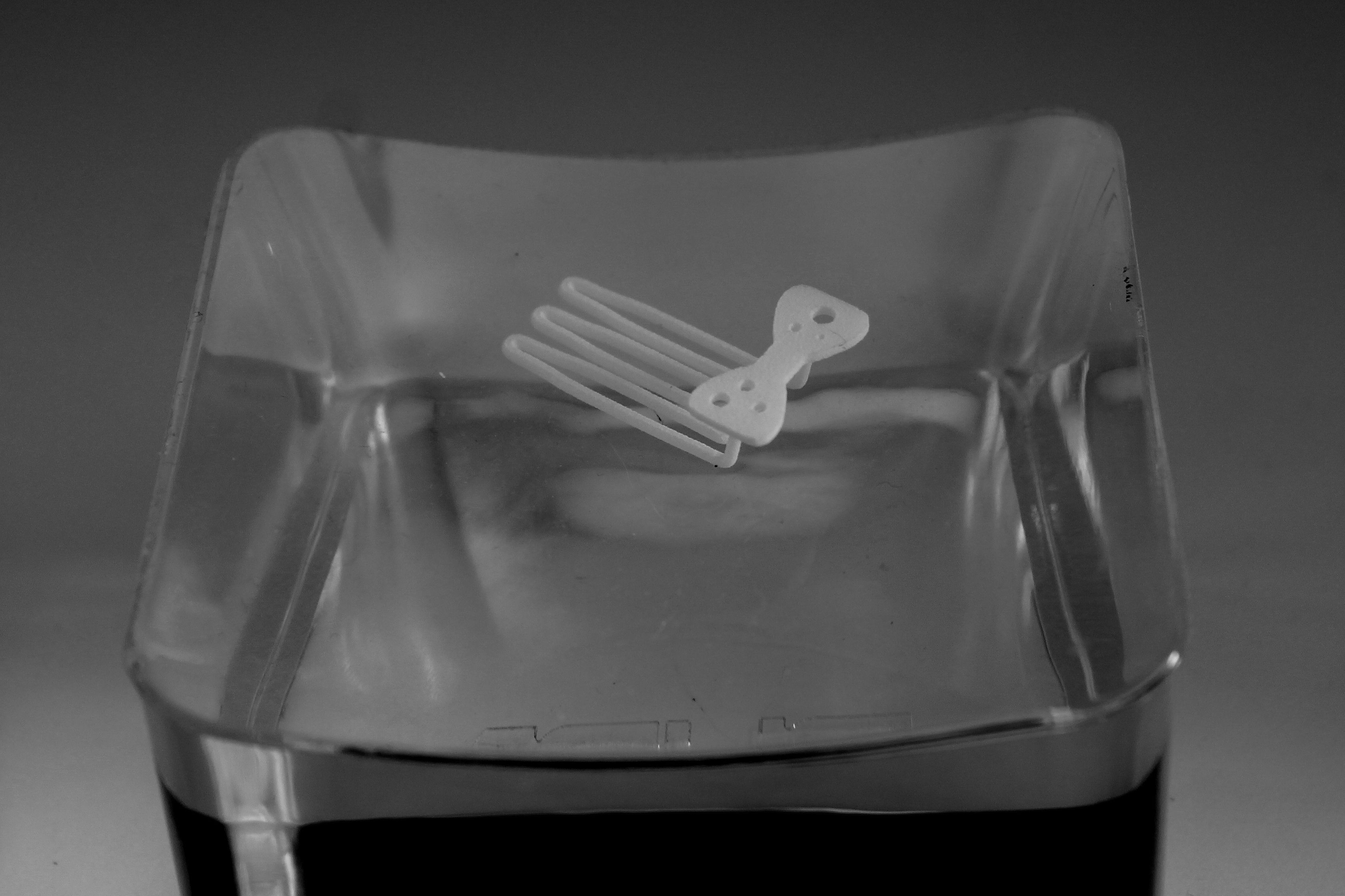 Papillon for beard - lateral wearing  3D print model_3