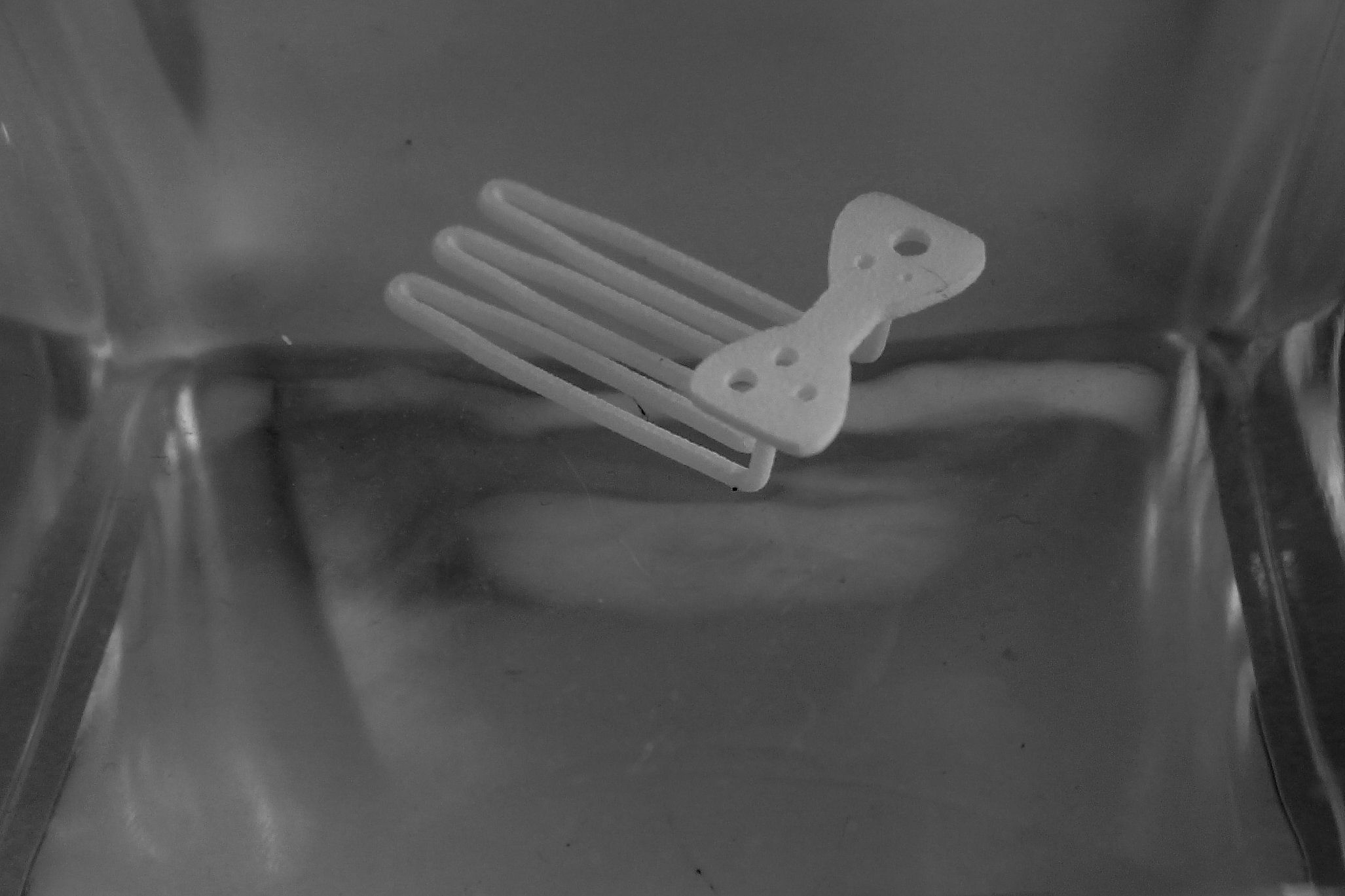 Papillon for beard - lateral wearing  3D print model_4