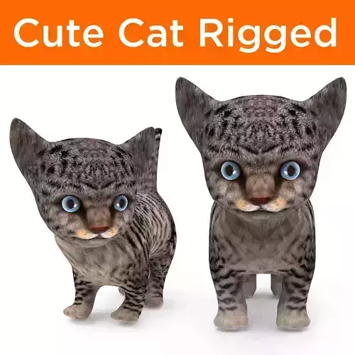 Wild Cute cartoon Cat Rigged