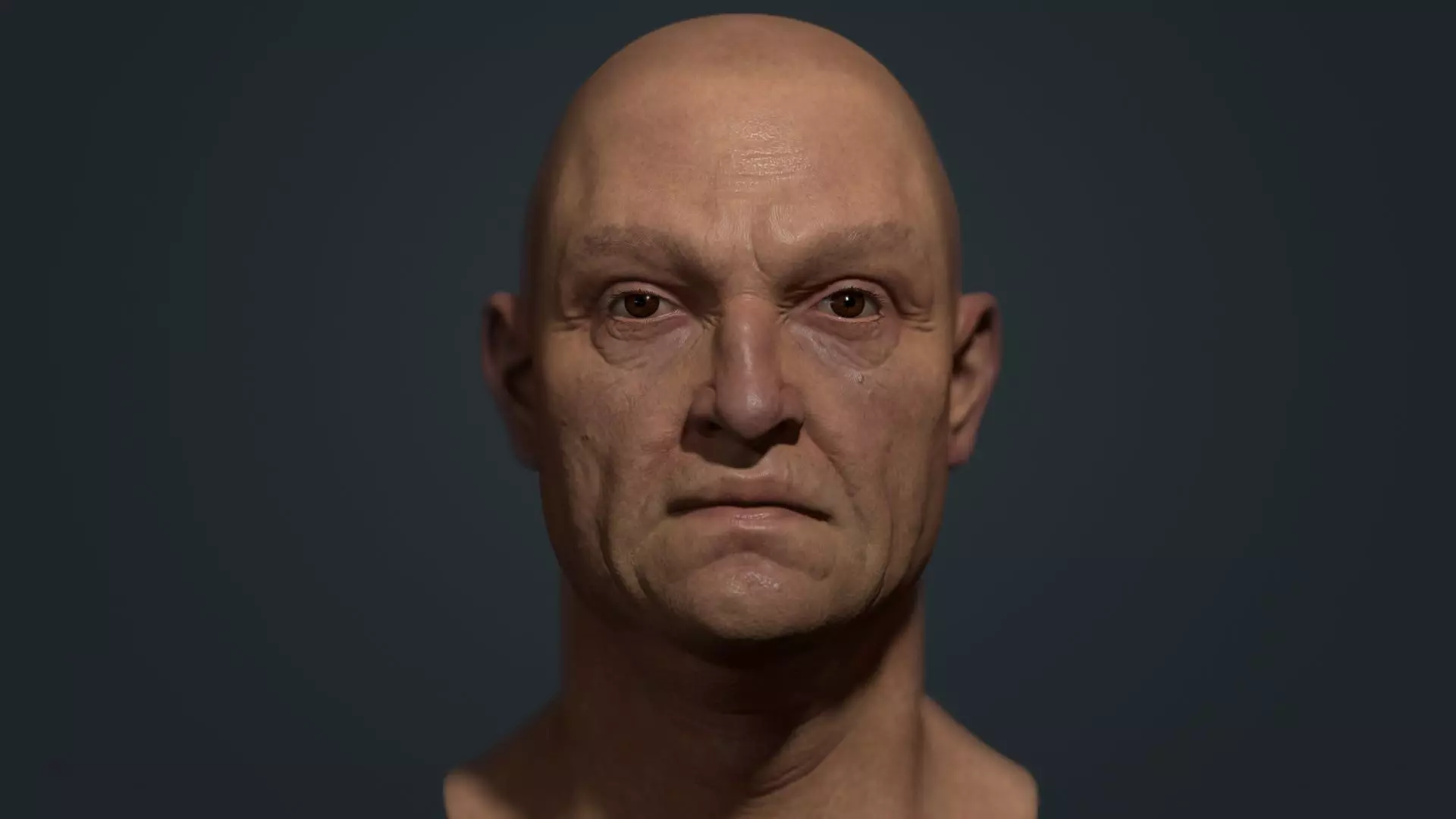 Old man Marmoset Project Low-poly 3D model_0