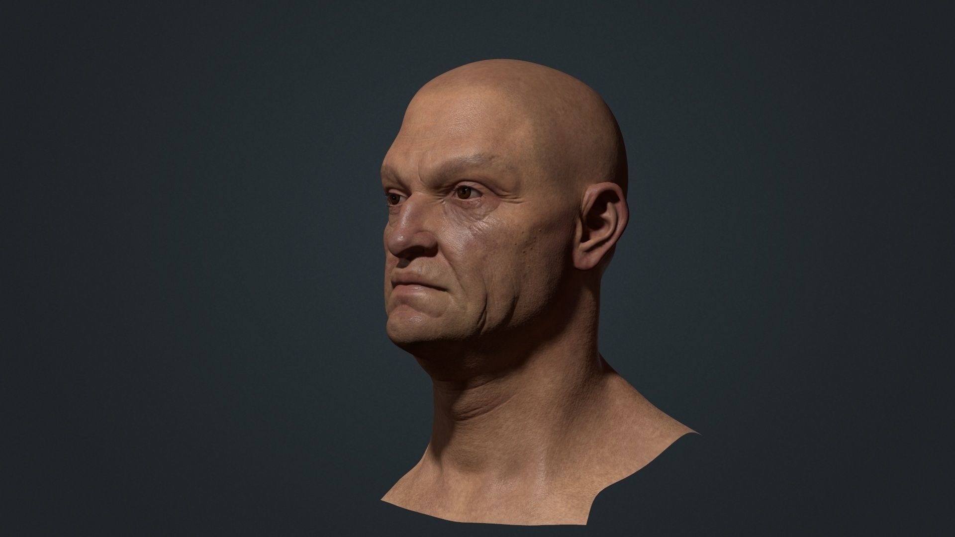 Old man Marmoset Project Low-poly 3D model_7