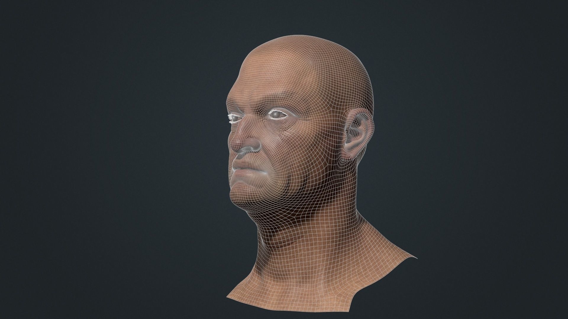 Old man Marmoset Project Low-poly 3D model_6