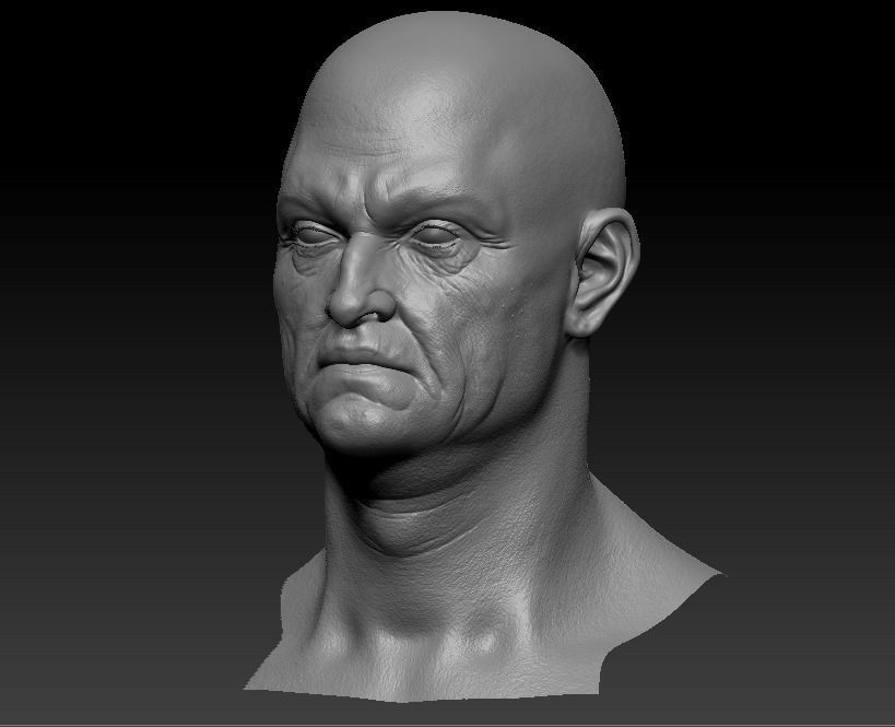 Old man Marmoset Project Low-poly 3D model_11