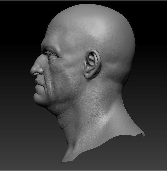 Old man Marmoset Project Low-poly 3D model_13