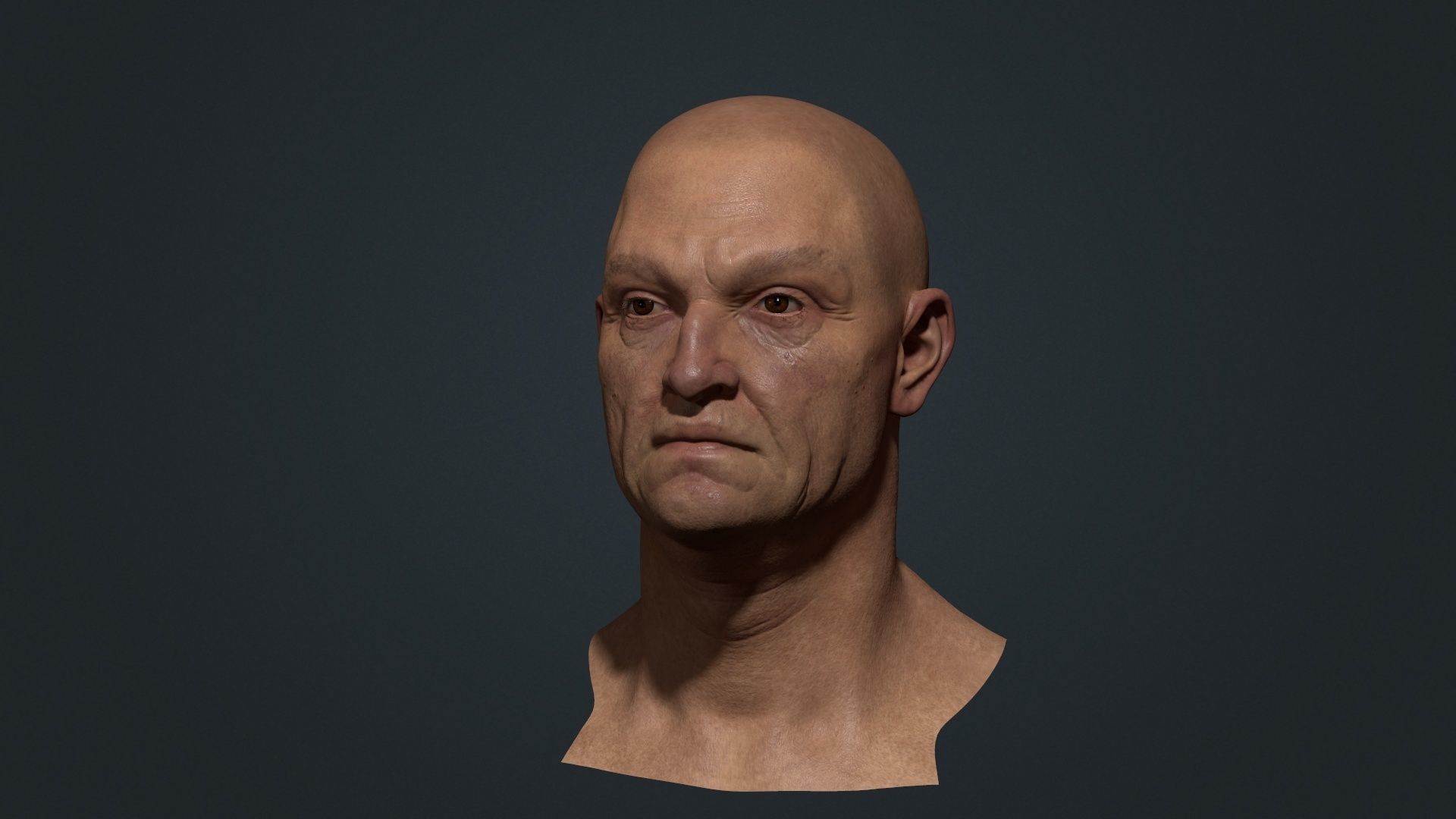 Old man Marmoset Project Low-poly 3D model_3