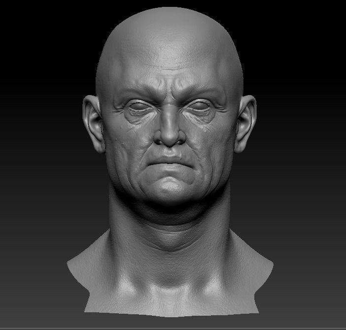 Old man Marmoset Project Low-poly 3D model_12