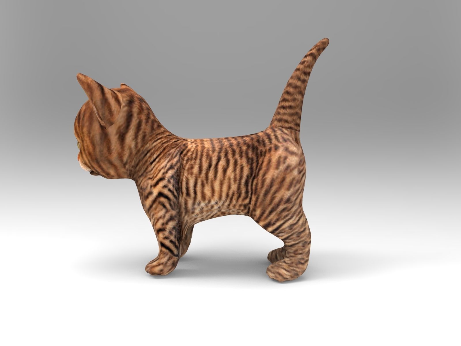 Wild Cute cartoon Cat Rigged 3D  Low-poly 3D model_10