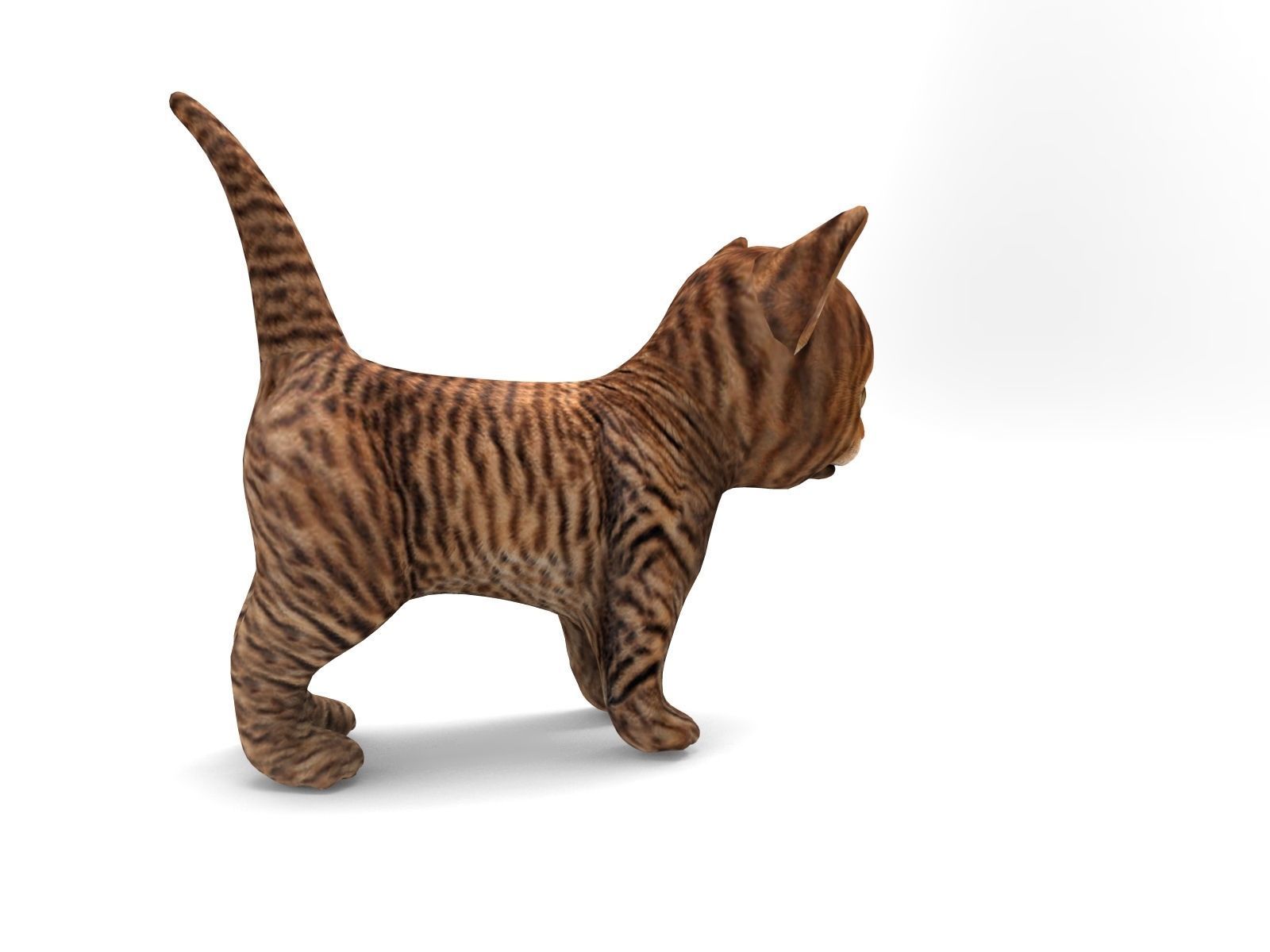 Wild Cute cartoon Cat Rigged 3D  Low-poly 3D model_12