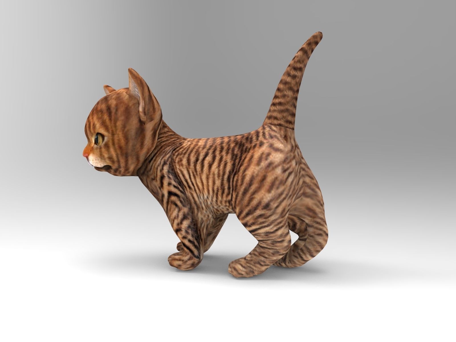Wild Cute cartoon Cat Rigged 3D  Low-poly 3D model_3