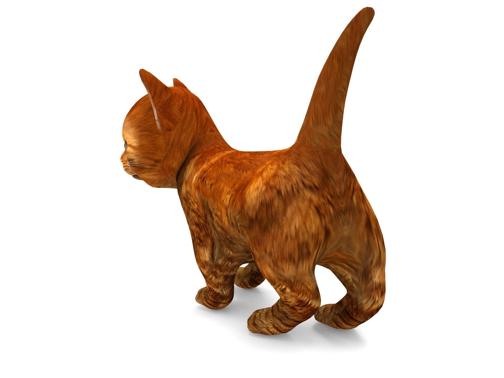3D Red Cute cartoon Cat Rigged Low-poly 3D model_12
