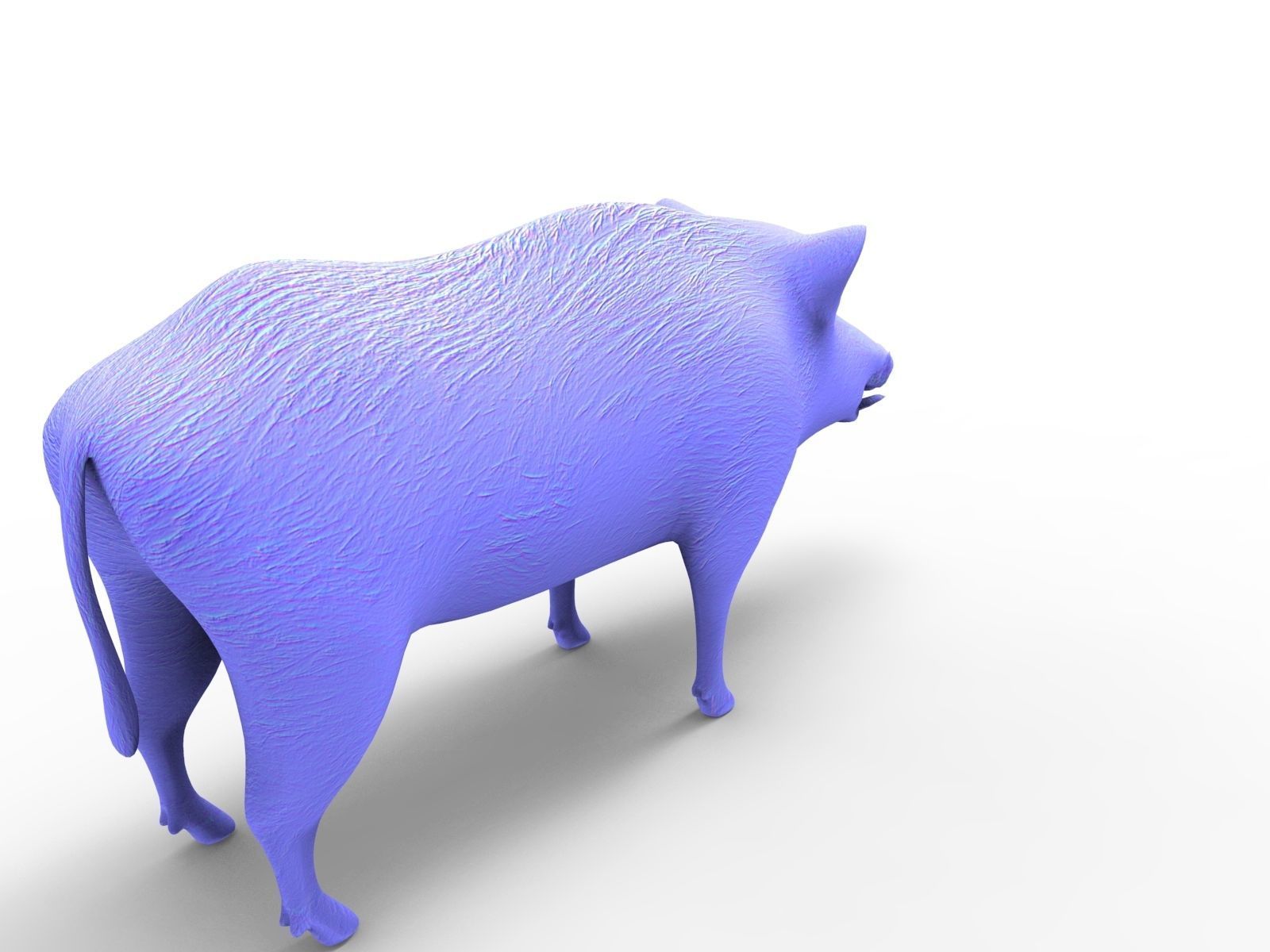 3D Black Wild Boar Rigged Low-poly 3D model_17
