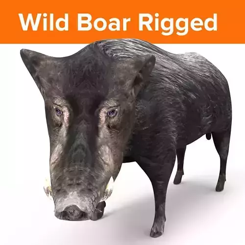 3D Black Wild Boar Rigged