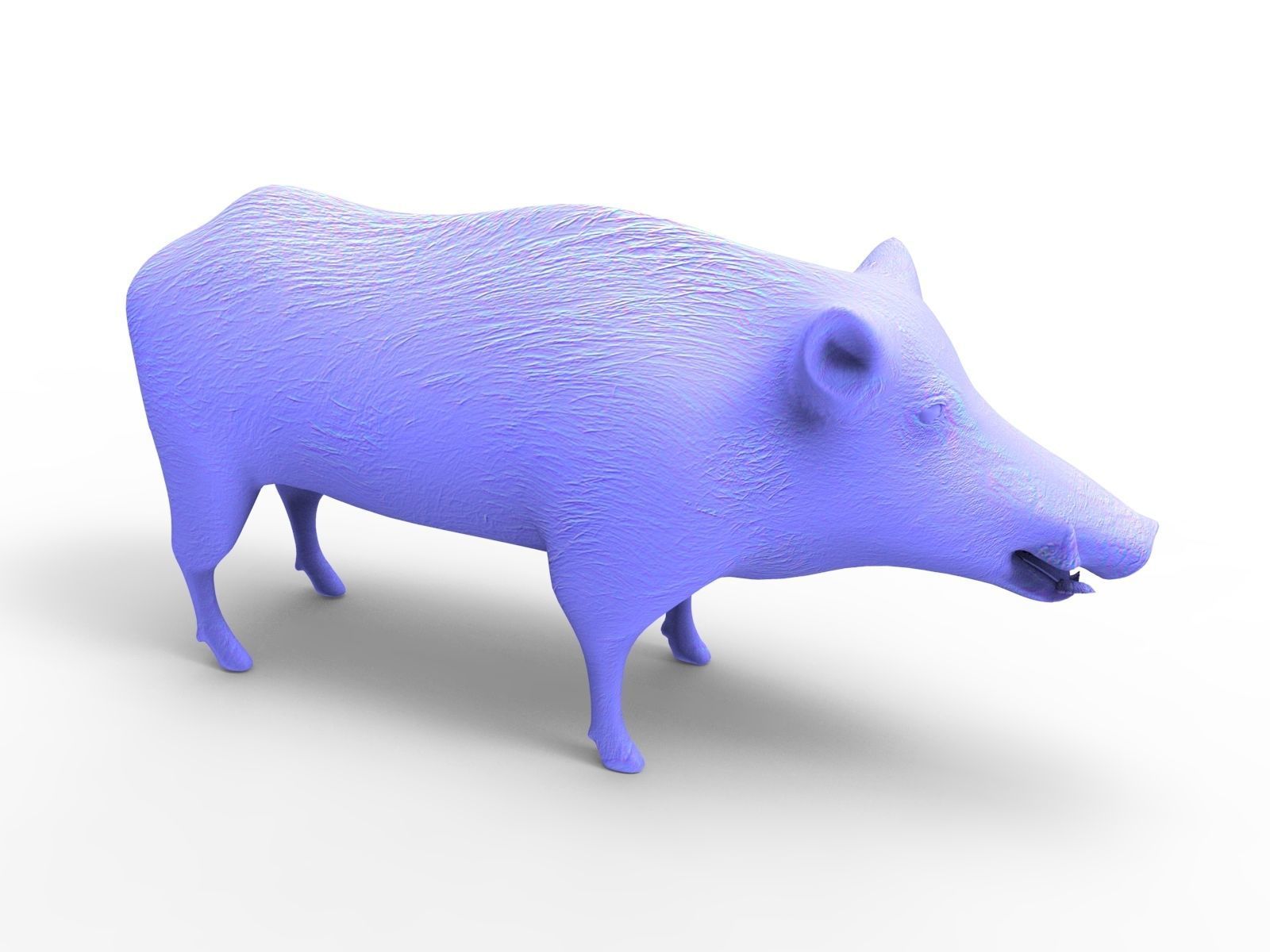 3D Black Wild Boar Rigged Low-poly 3D model_16