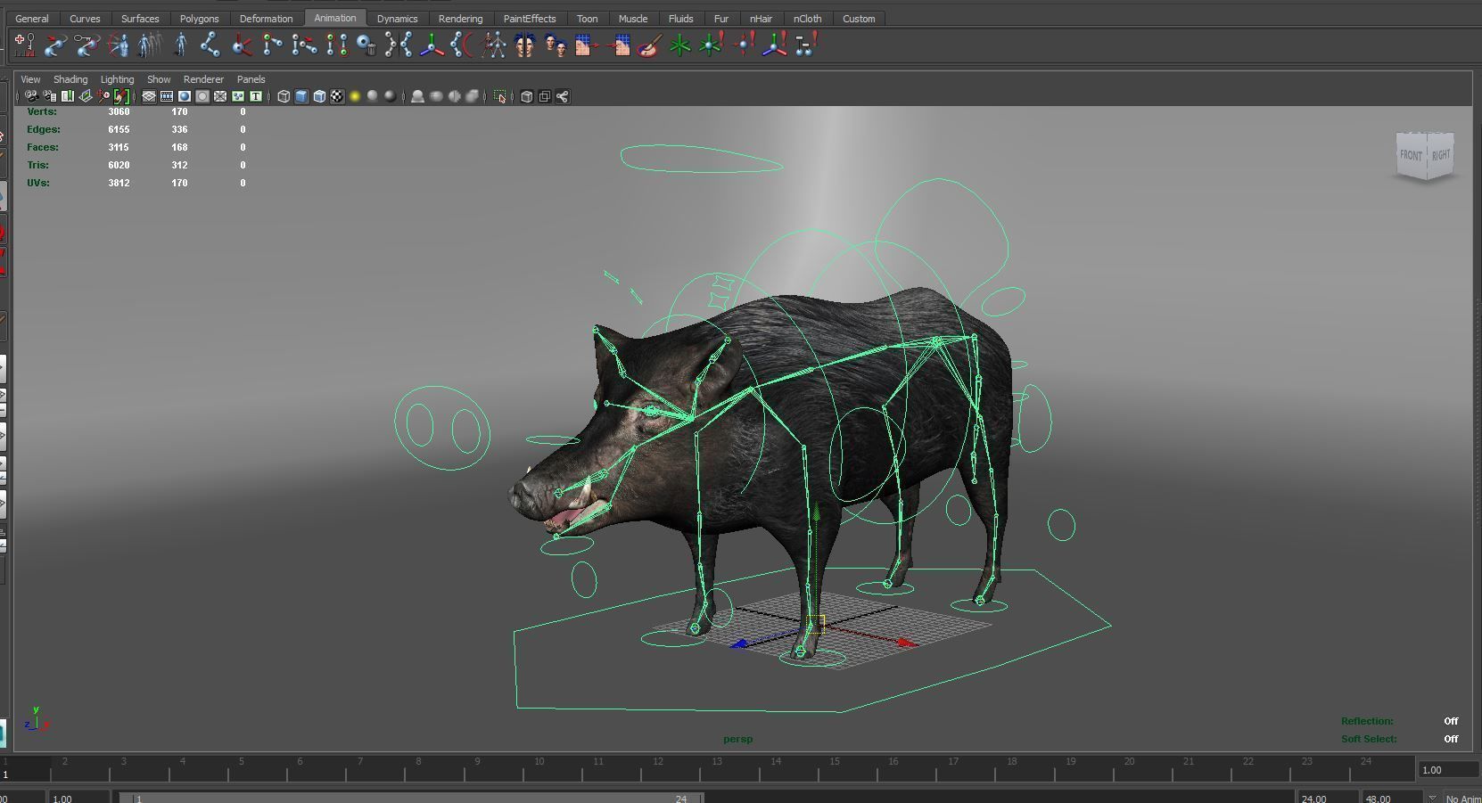 3D Black Wild Boar Rigged Low-poly 3D model_21