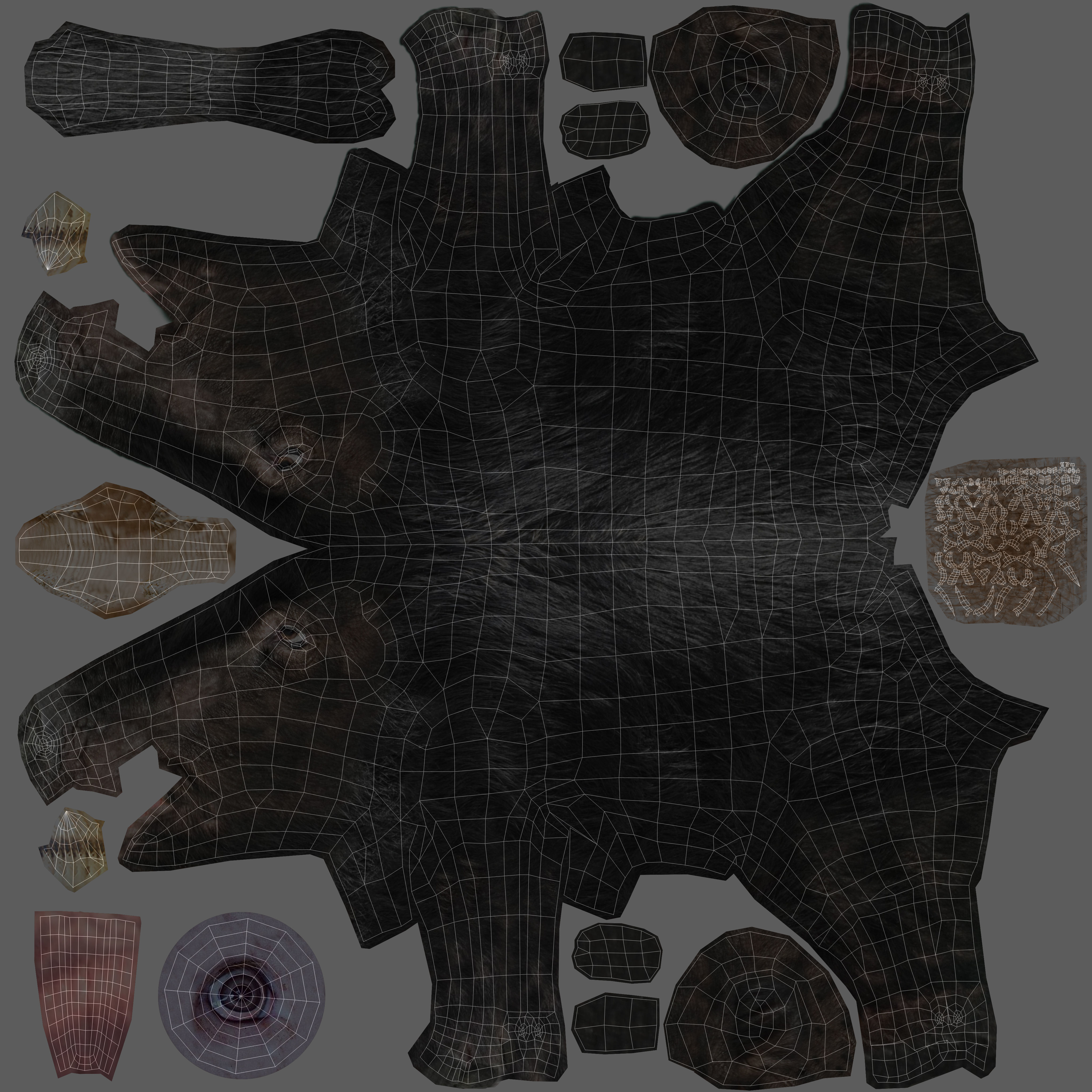 3D Black Wild Boar Rigged Low-poly 3D model_25