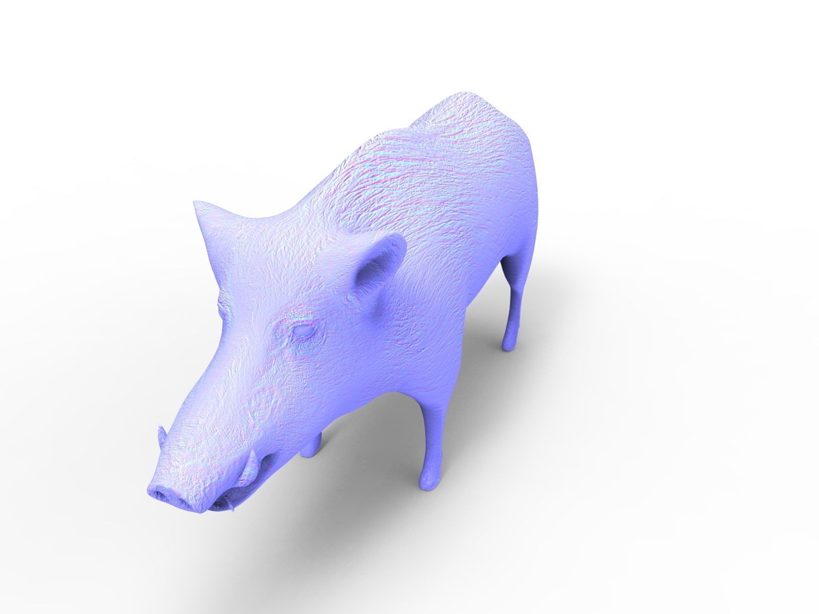 3D Black Wild Boar Rigged Low-poly 3D model_14