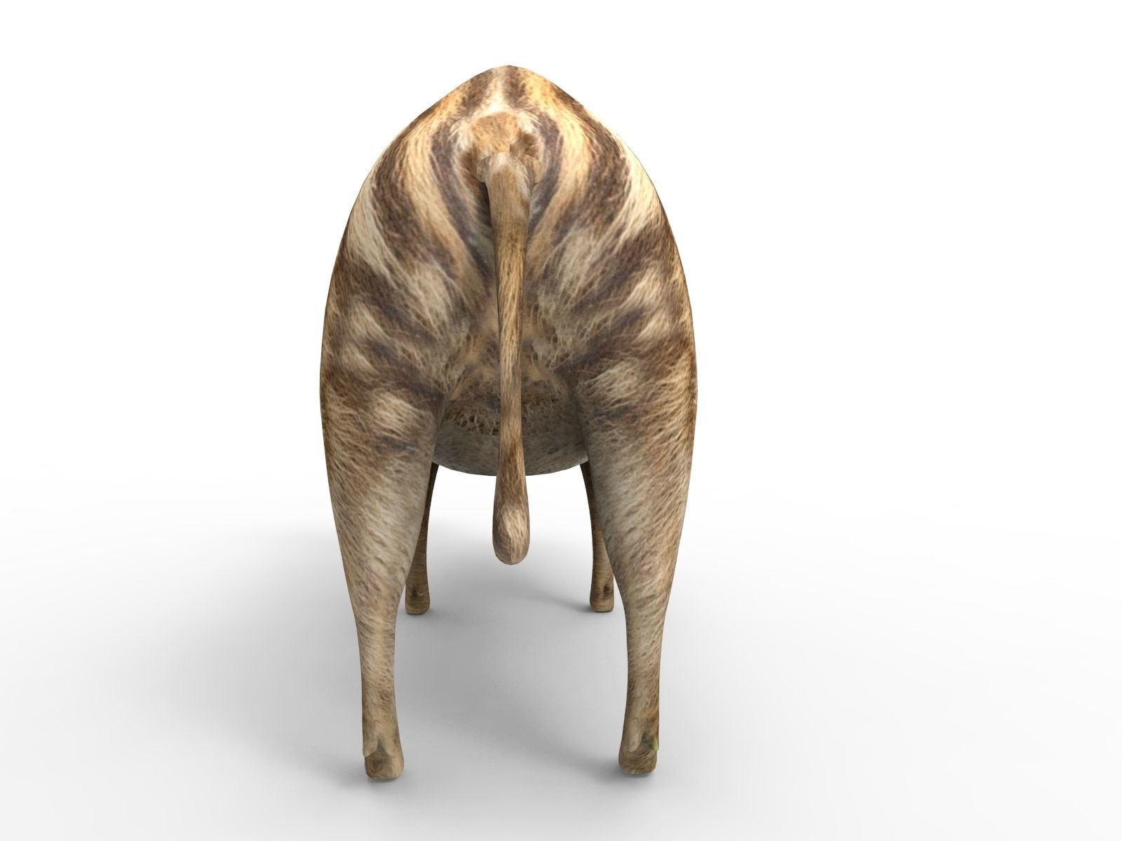 3D Boar Rigged 3D Models Low-poly 3D model_10