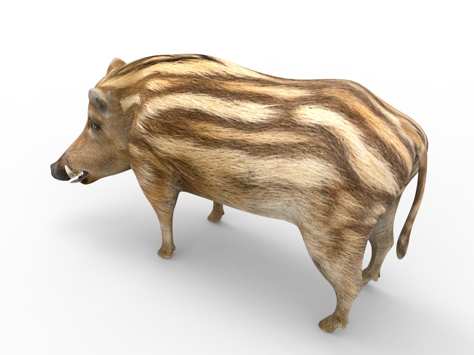 3D Boar Rigged 3D Models Low-poly 3D model_22