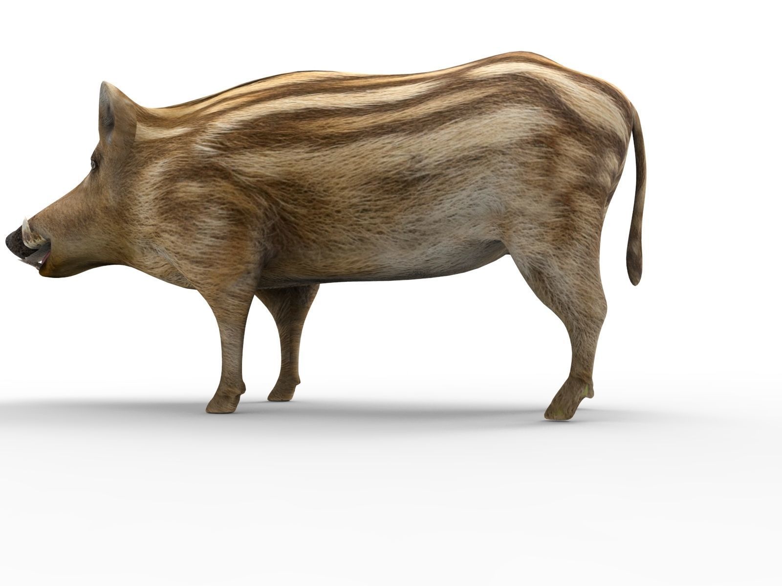 3D Boar Rigged 3D Models Low-poly 3D model_13