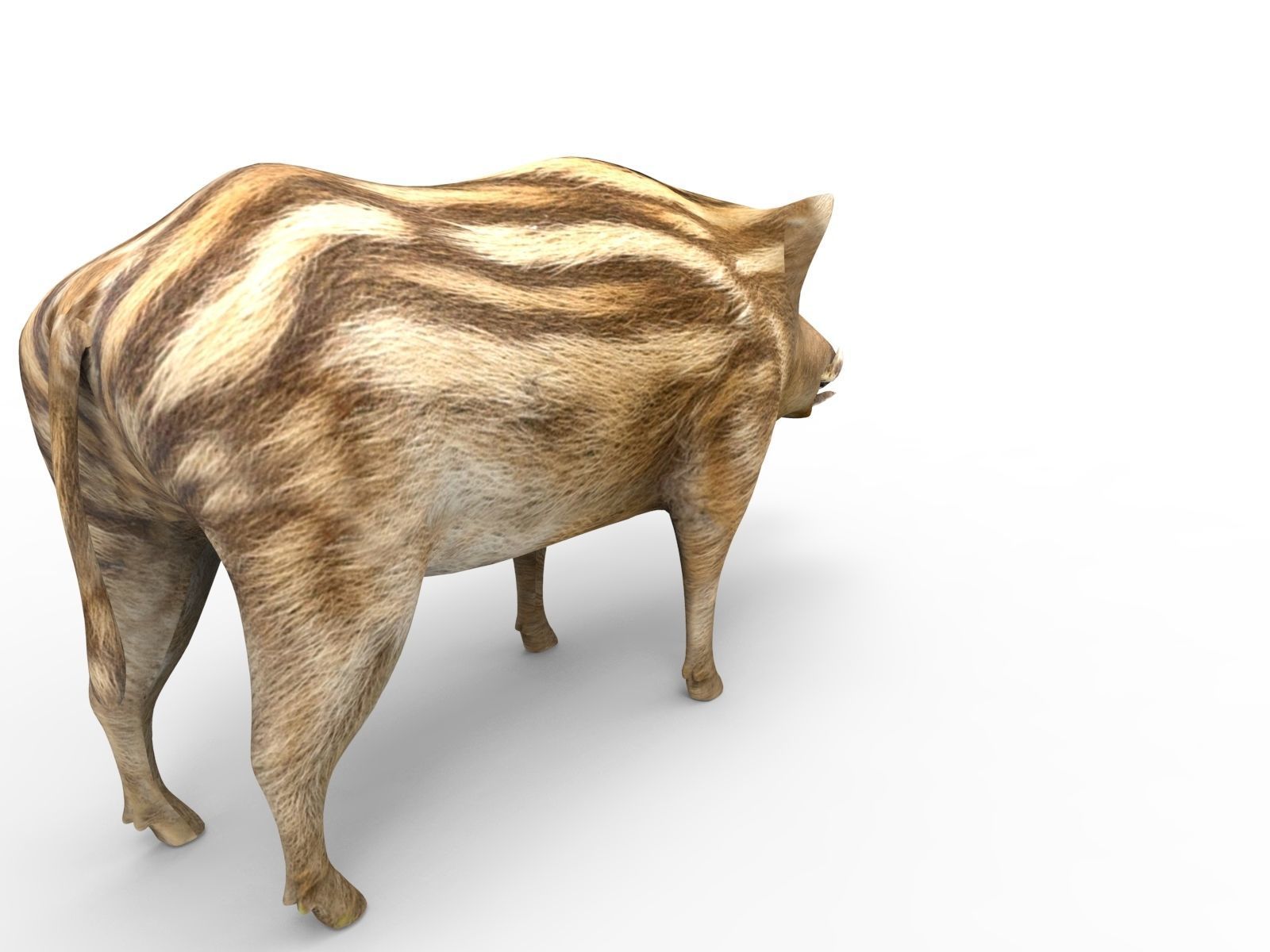 3D Boar Rigged 3D Models Low-poly 3D model_4