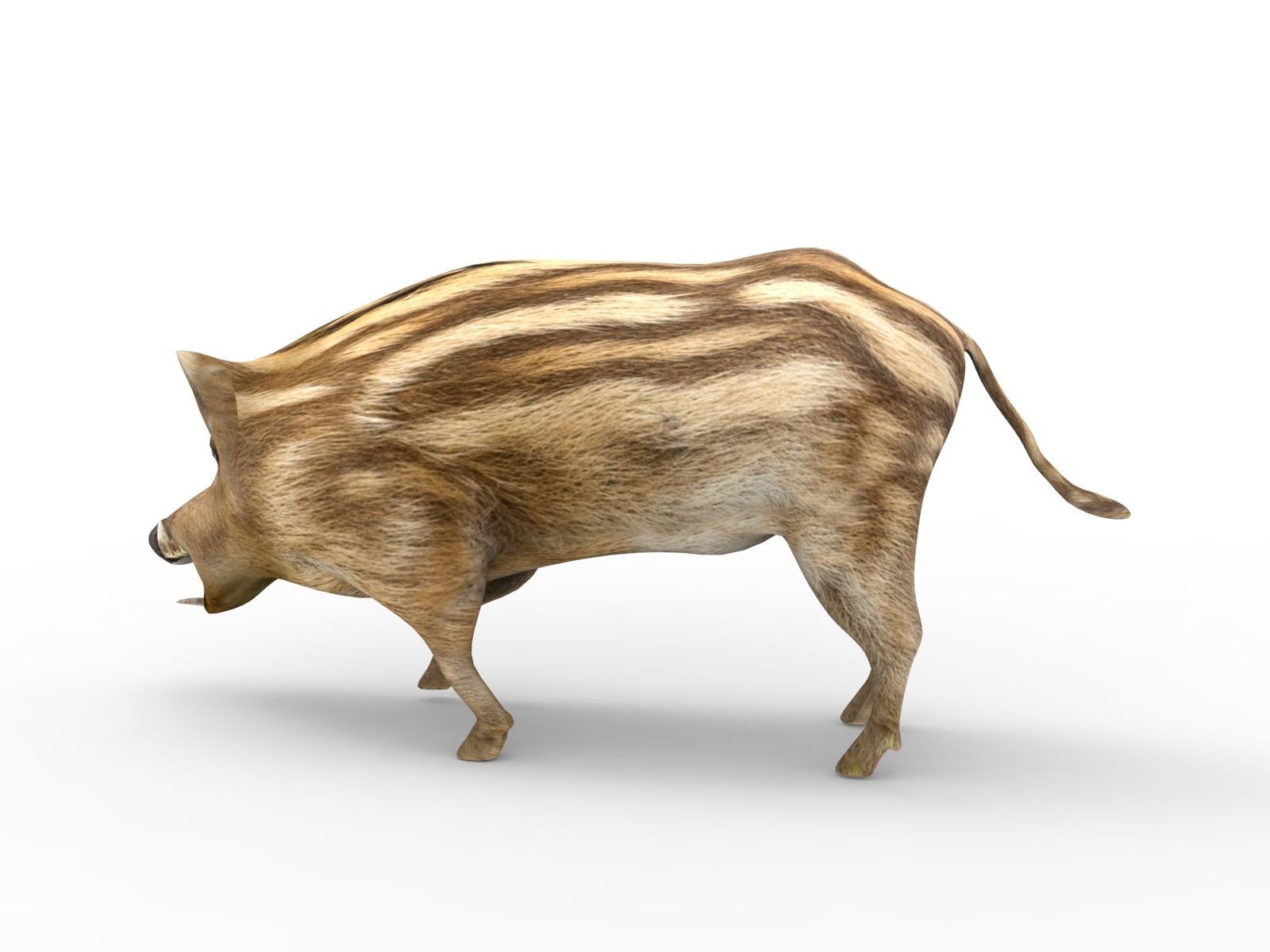 3D Boar Rigged 3D Models Low-poly 3D model_21